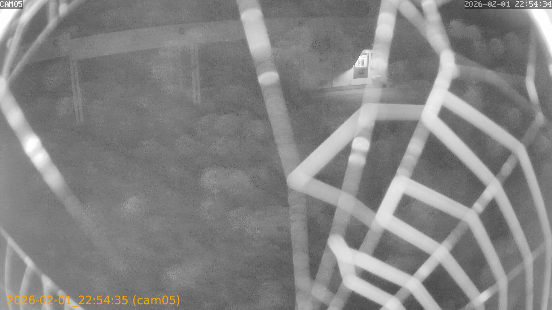 thumbnail_20260201225435