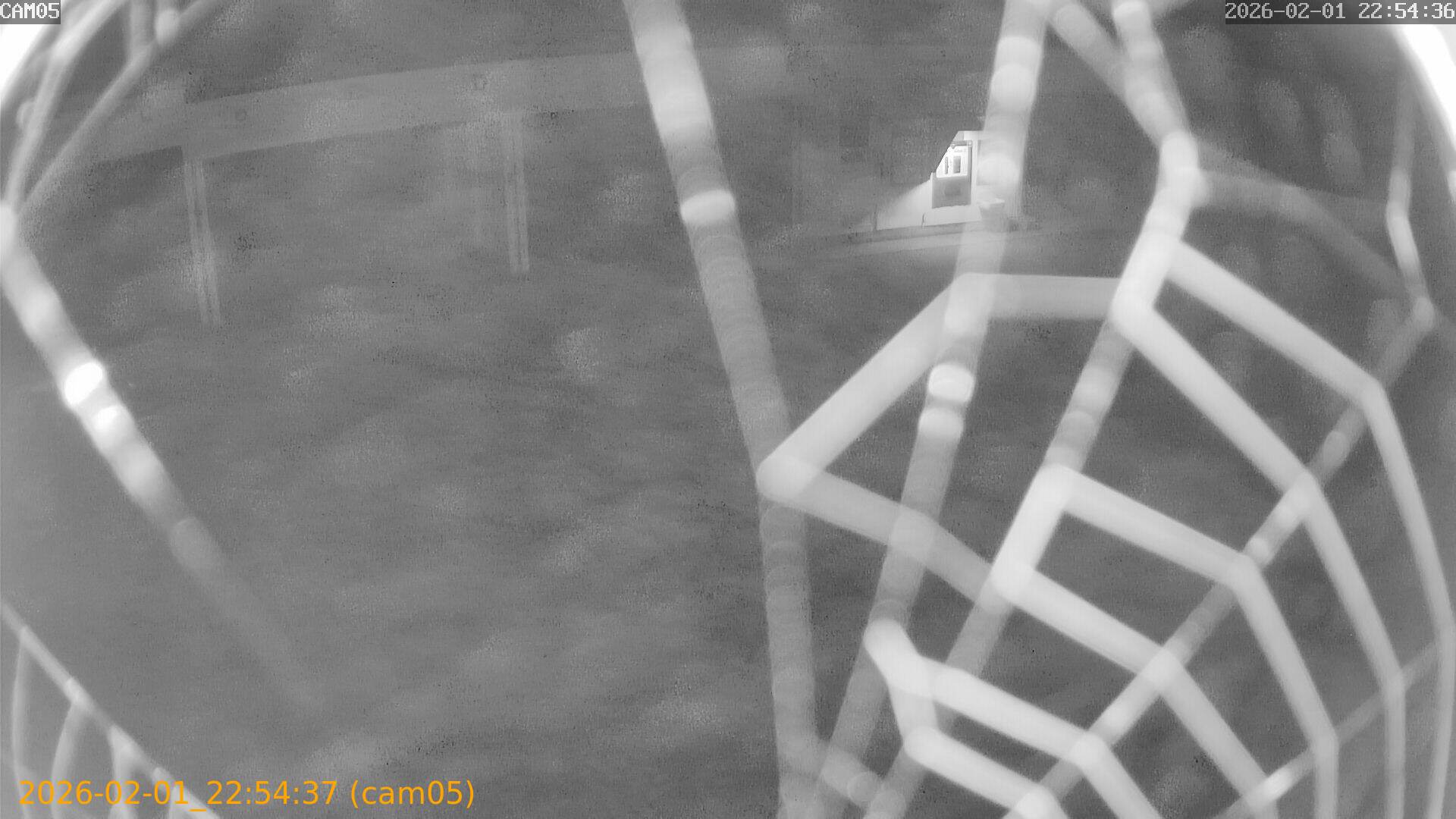 thumbnail_20260201225437