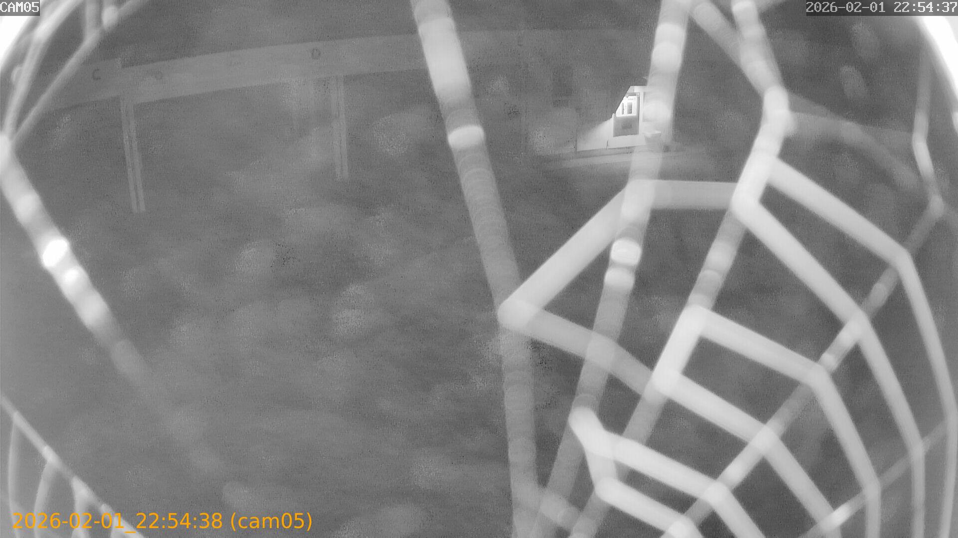 thumbnail_20260201225438