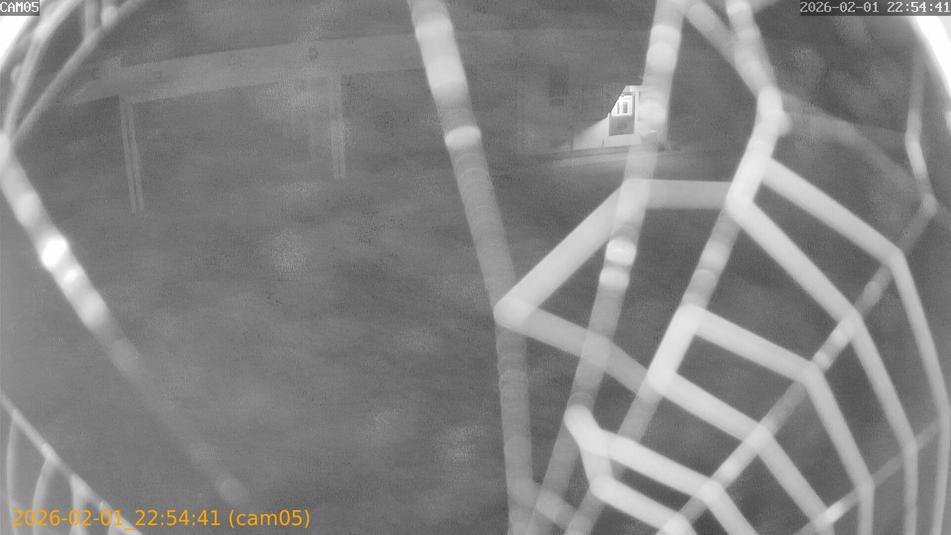 thumbnail_20260201225441