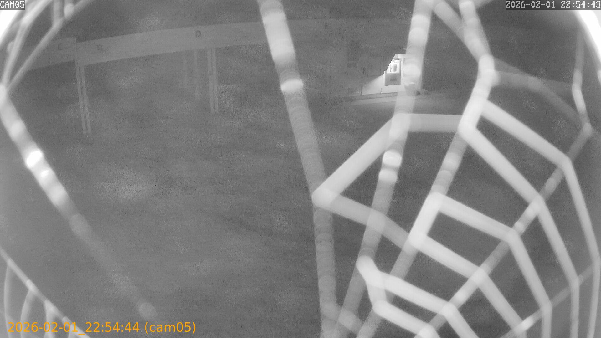 thumbnail_20260201225444