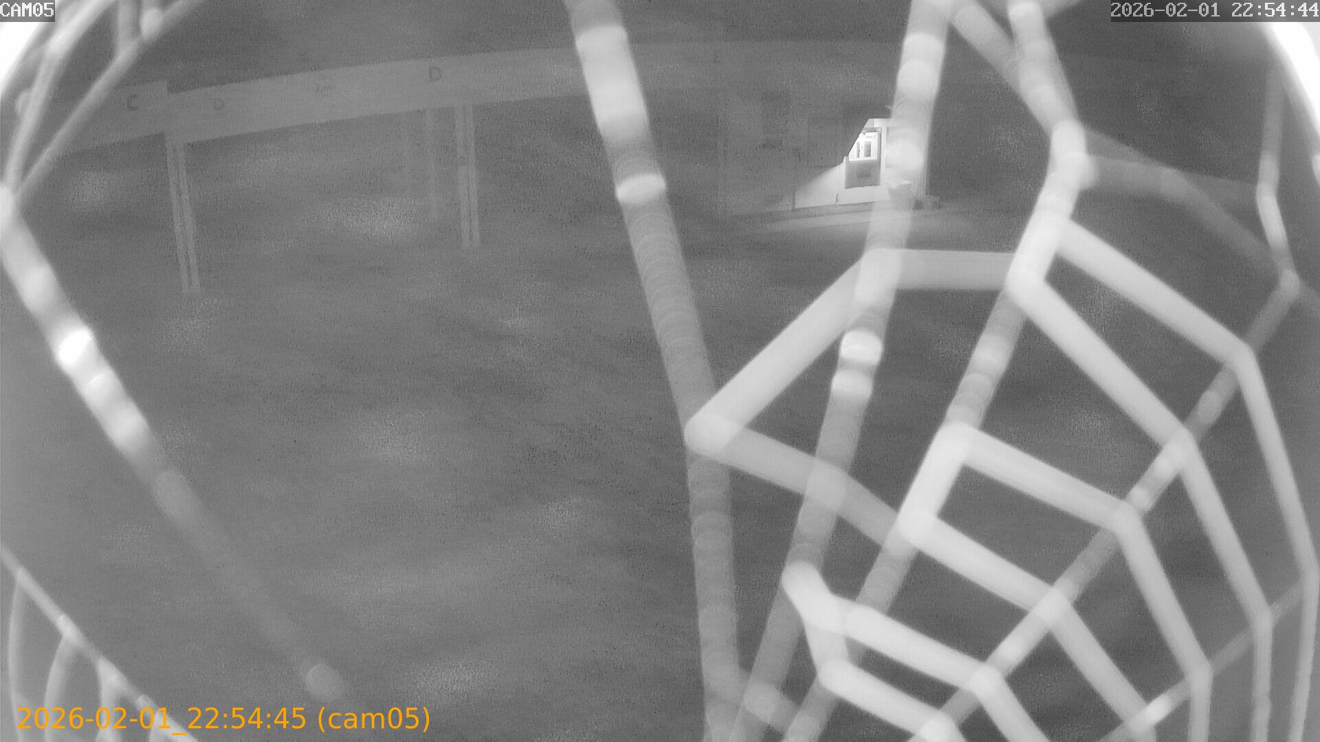 thumbnail_20260201225445