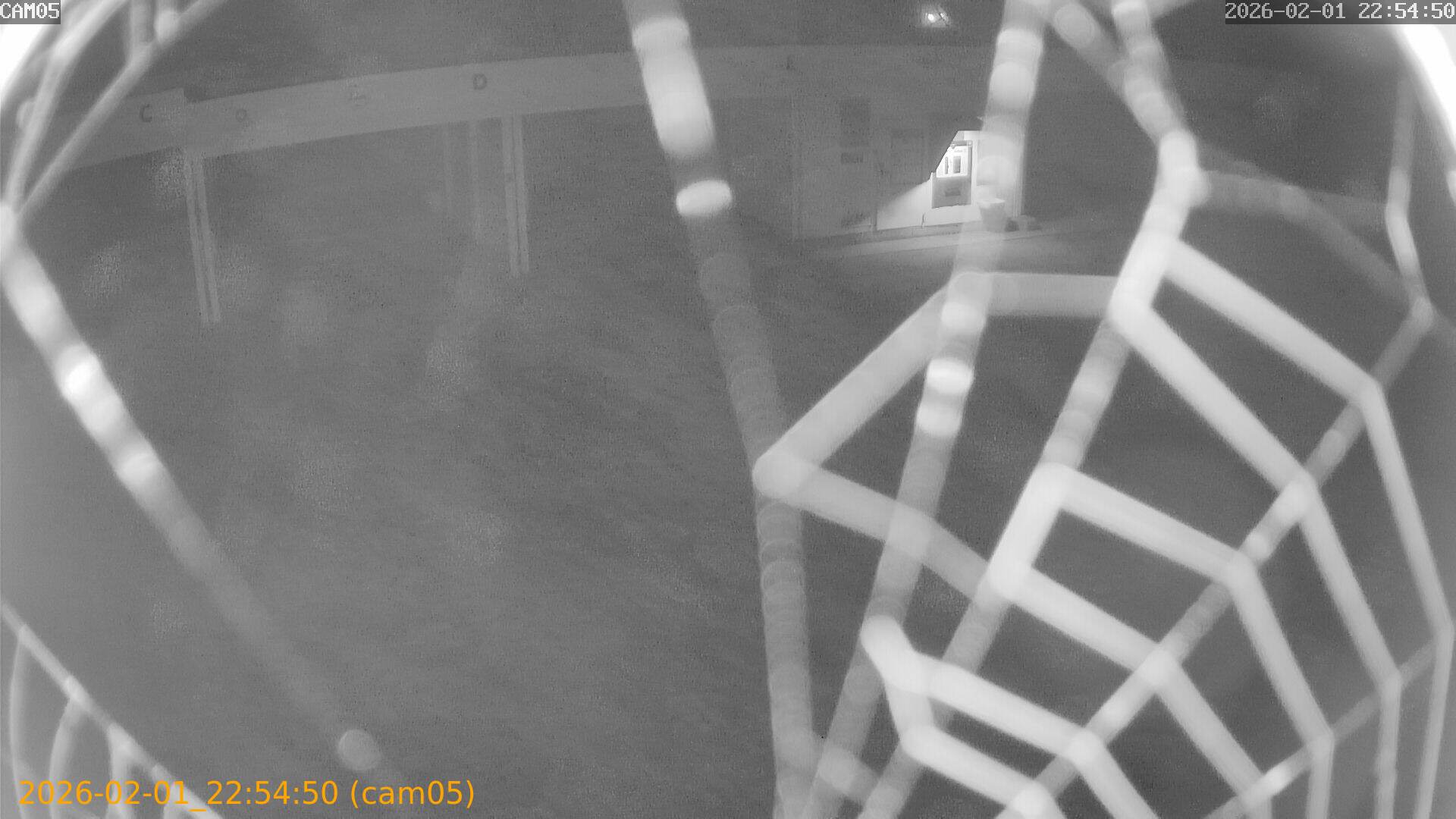 thumbnail_20260201225450