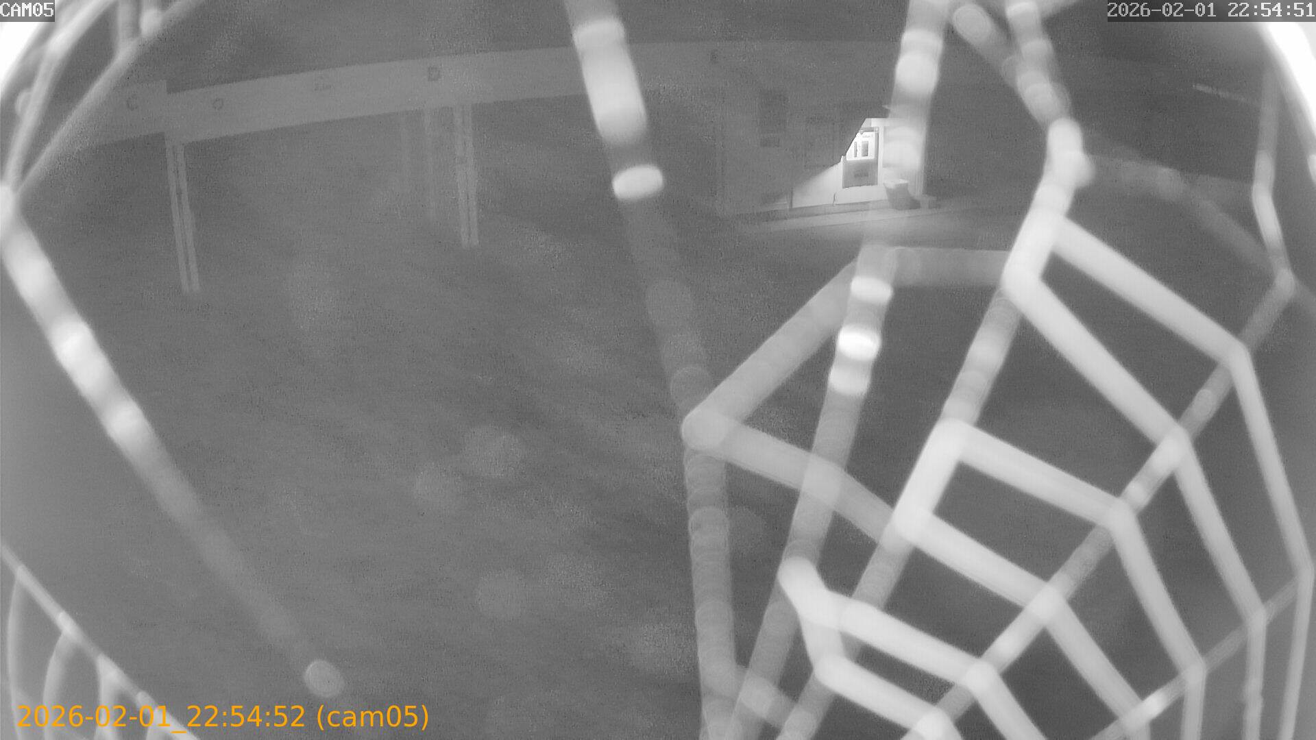 thumbnail_20260201225452