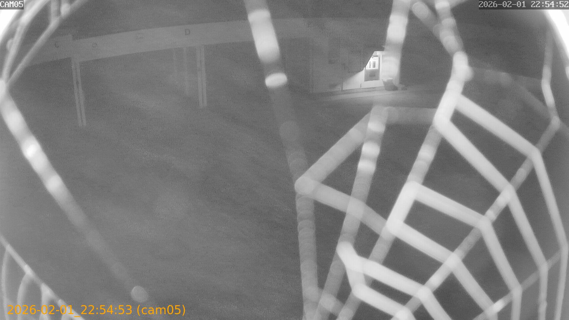 thumbnail_20260201225453