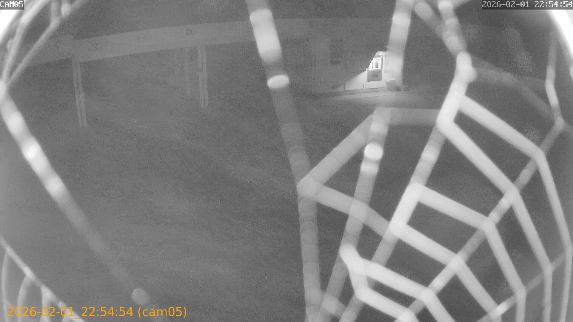 thumbnail_20260201225454