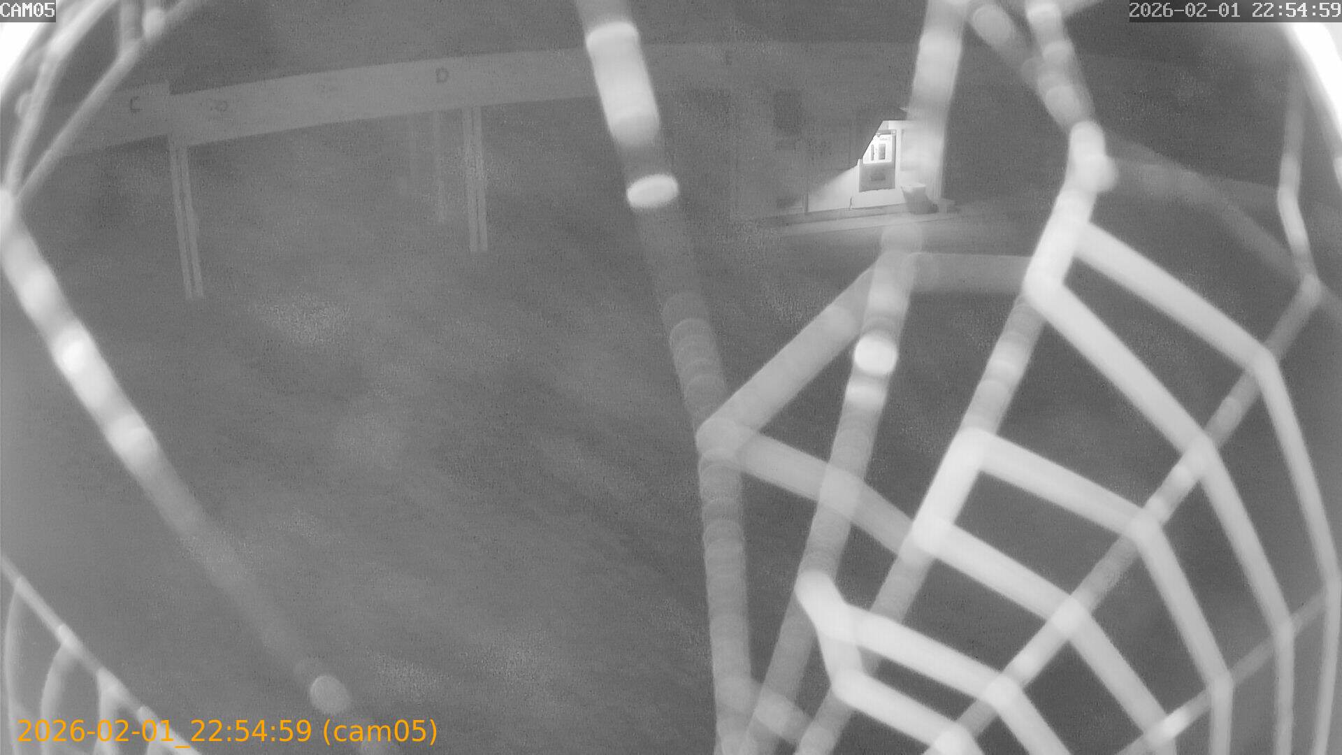 thumbnail_20260201225459