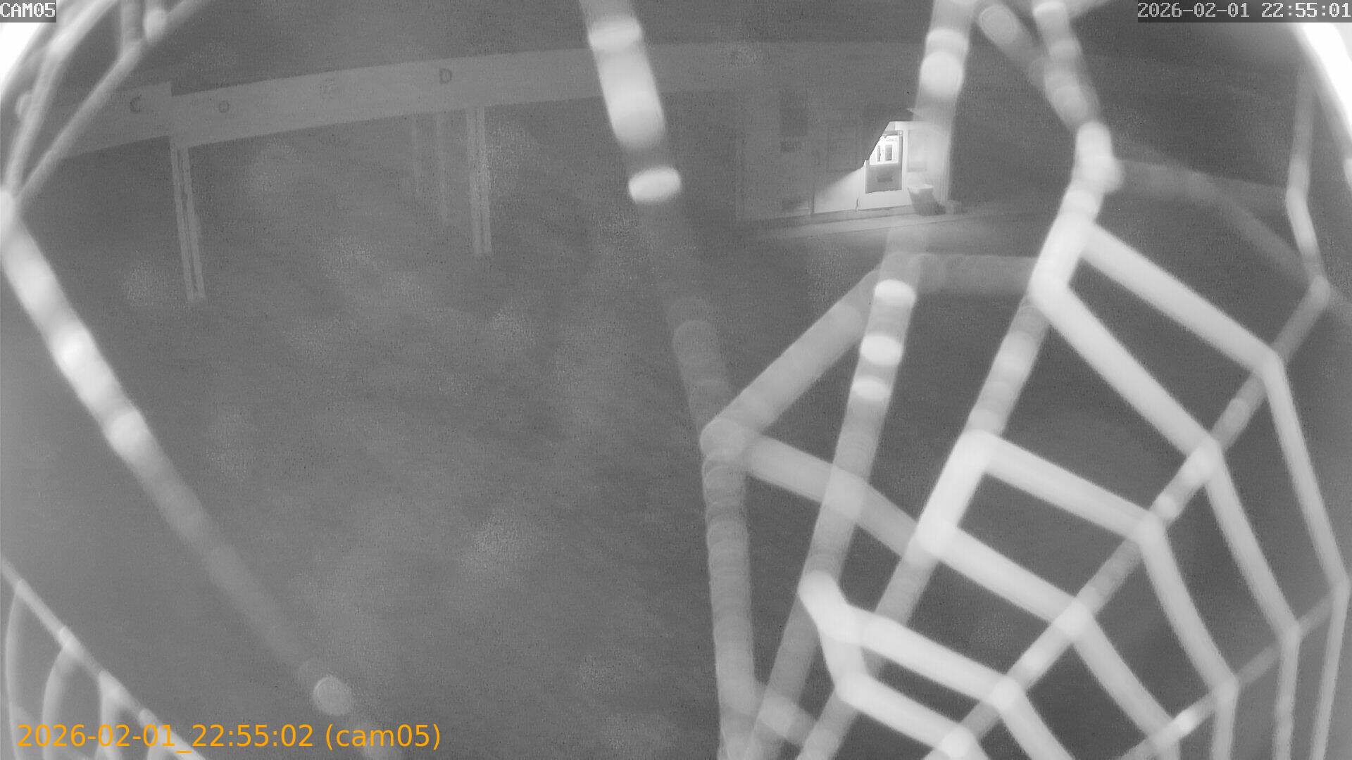 thumbnail_20260201225502