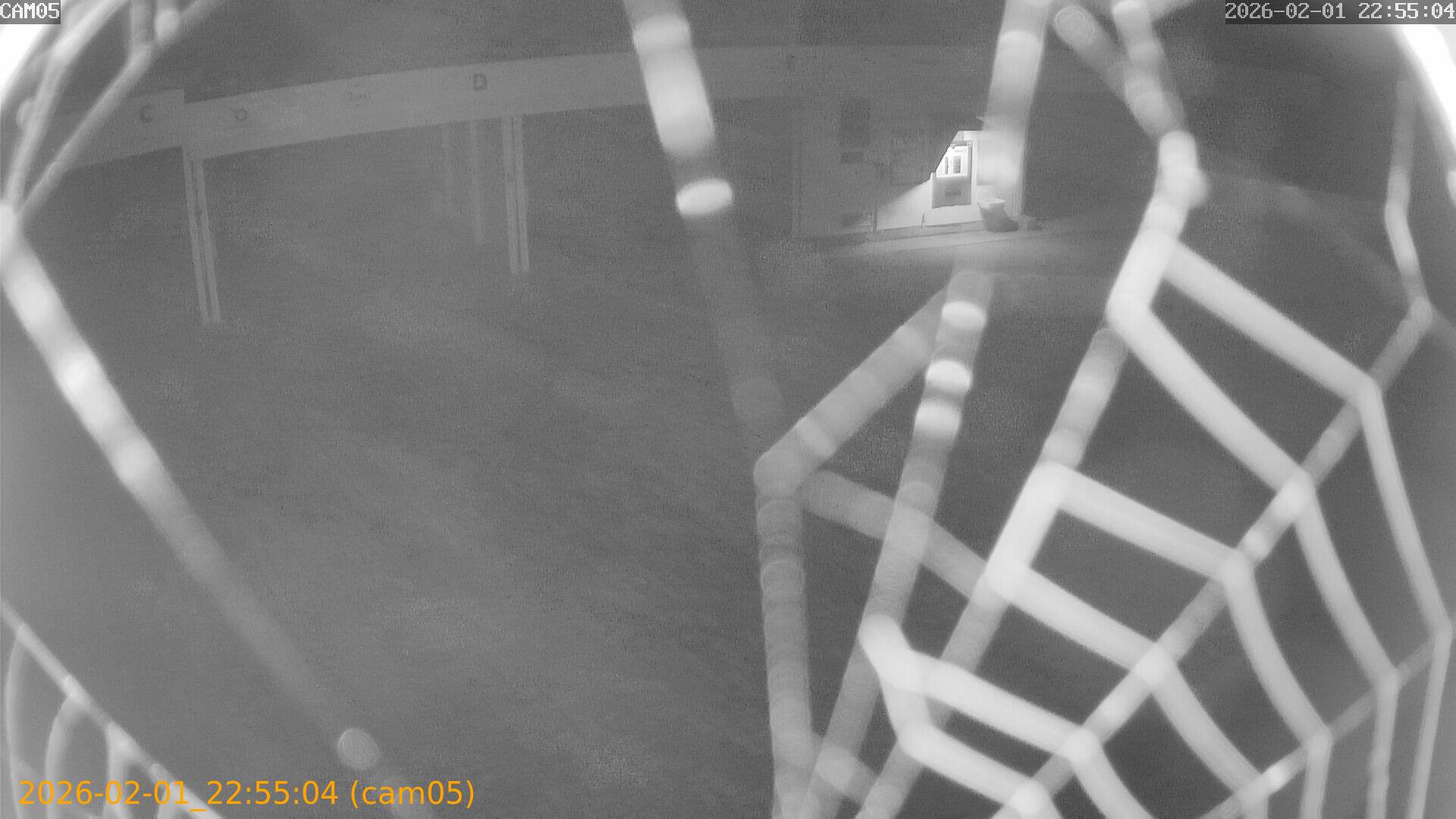 thumbnail_20260201225504