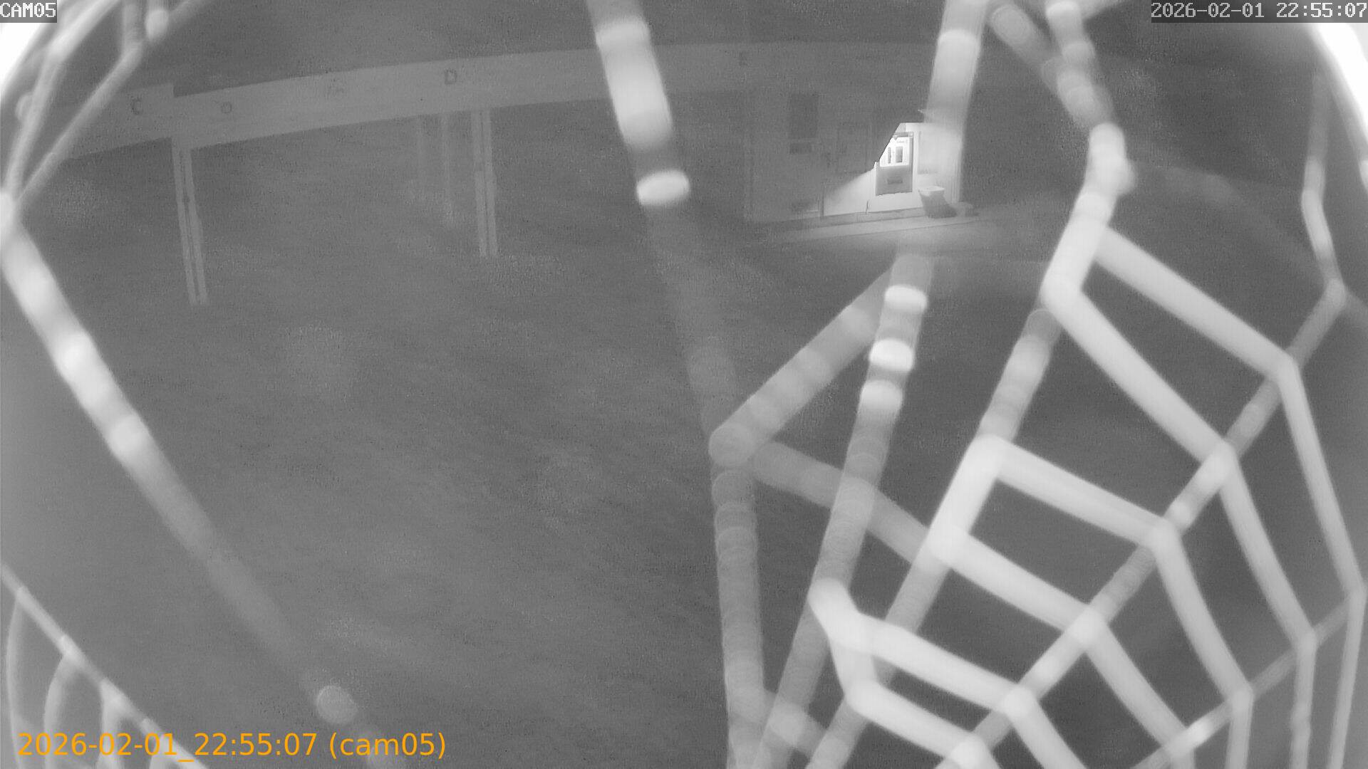 thumbnail_20260201225507