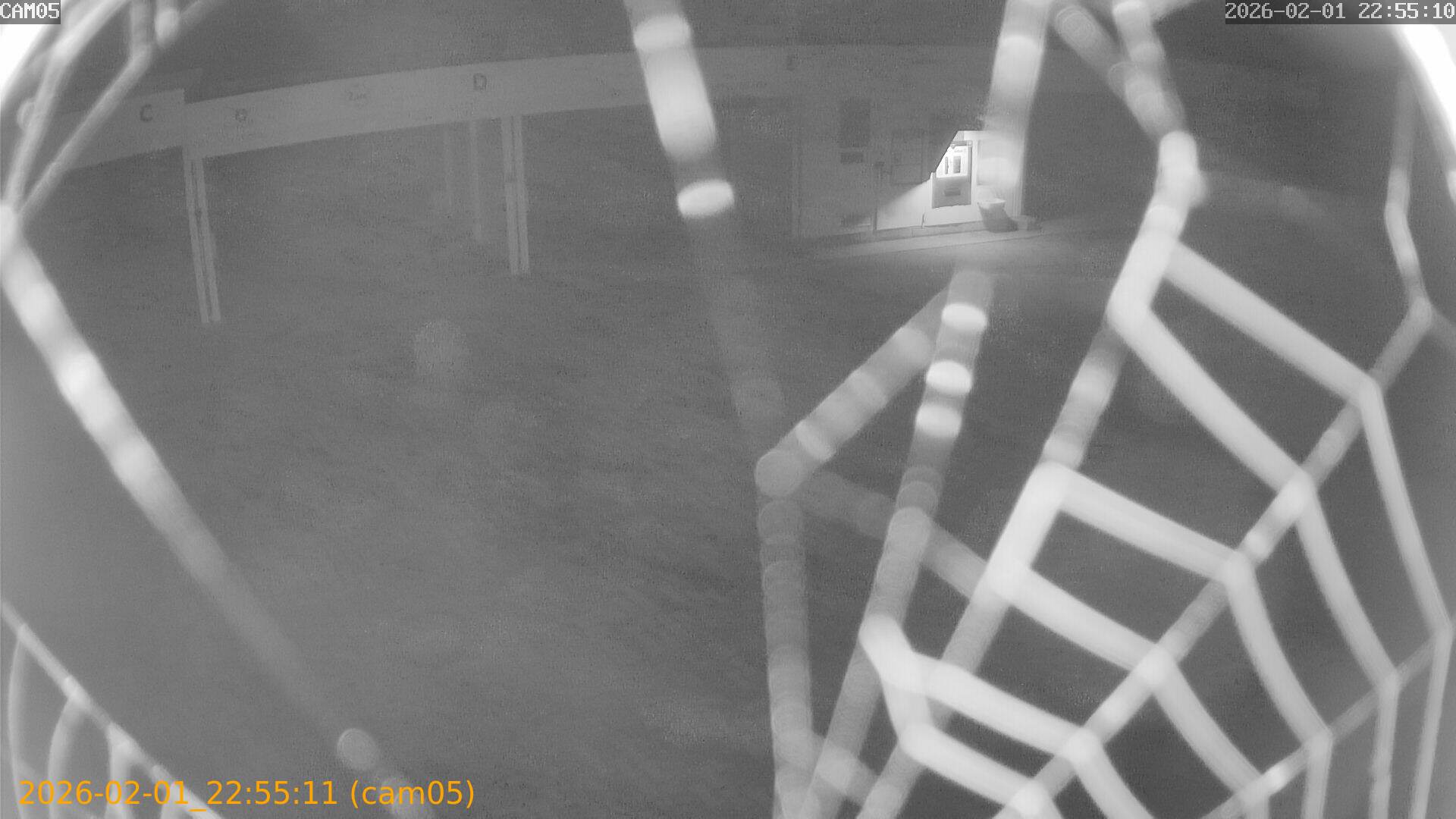 thumbnail_20260201225511