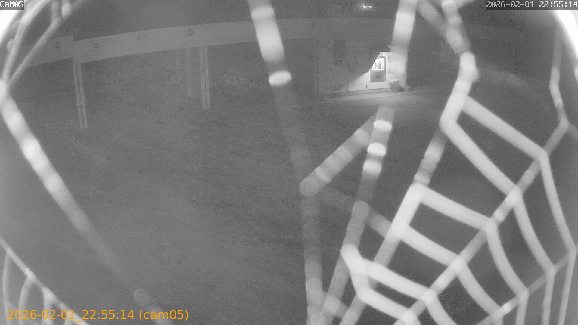 thumbnail_20260201225514