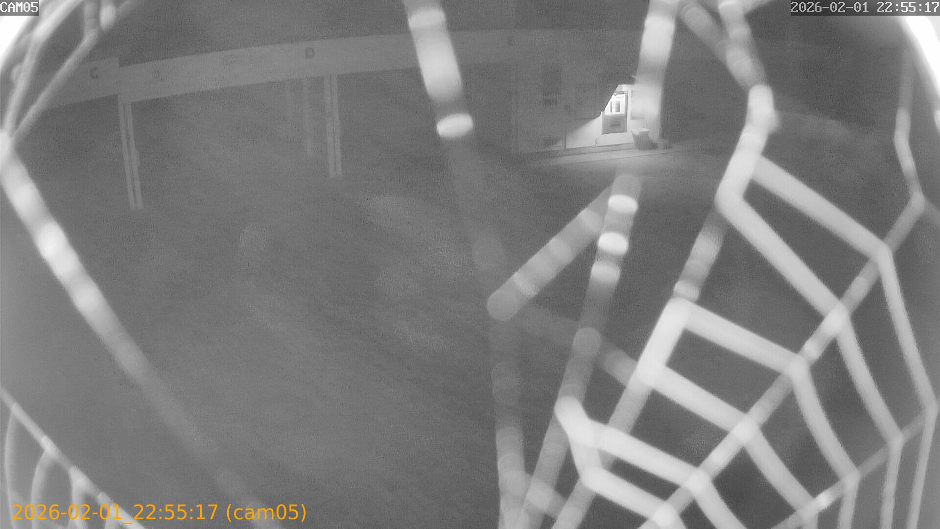 thumbnail_20260201225517