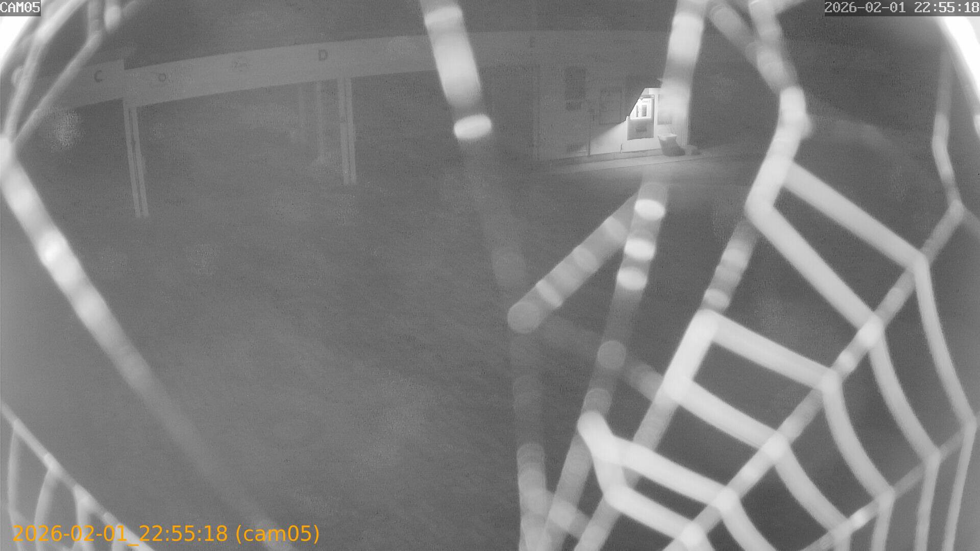 thumbnail_20260201225518