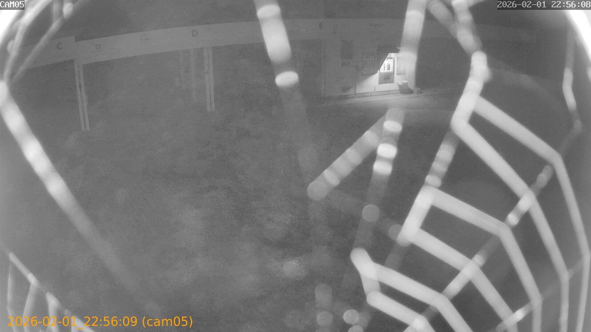 thumbnail_20260201225609