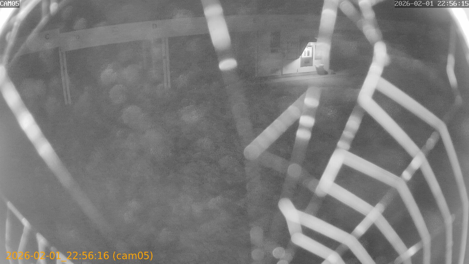 thumbnail_20260201225616