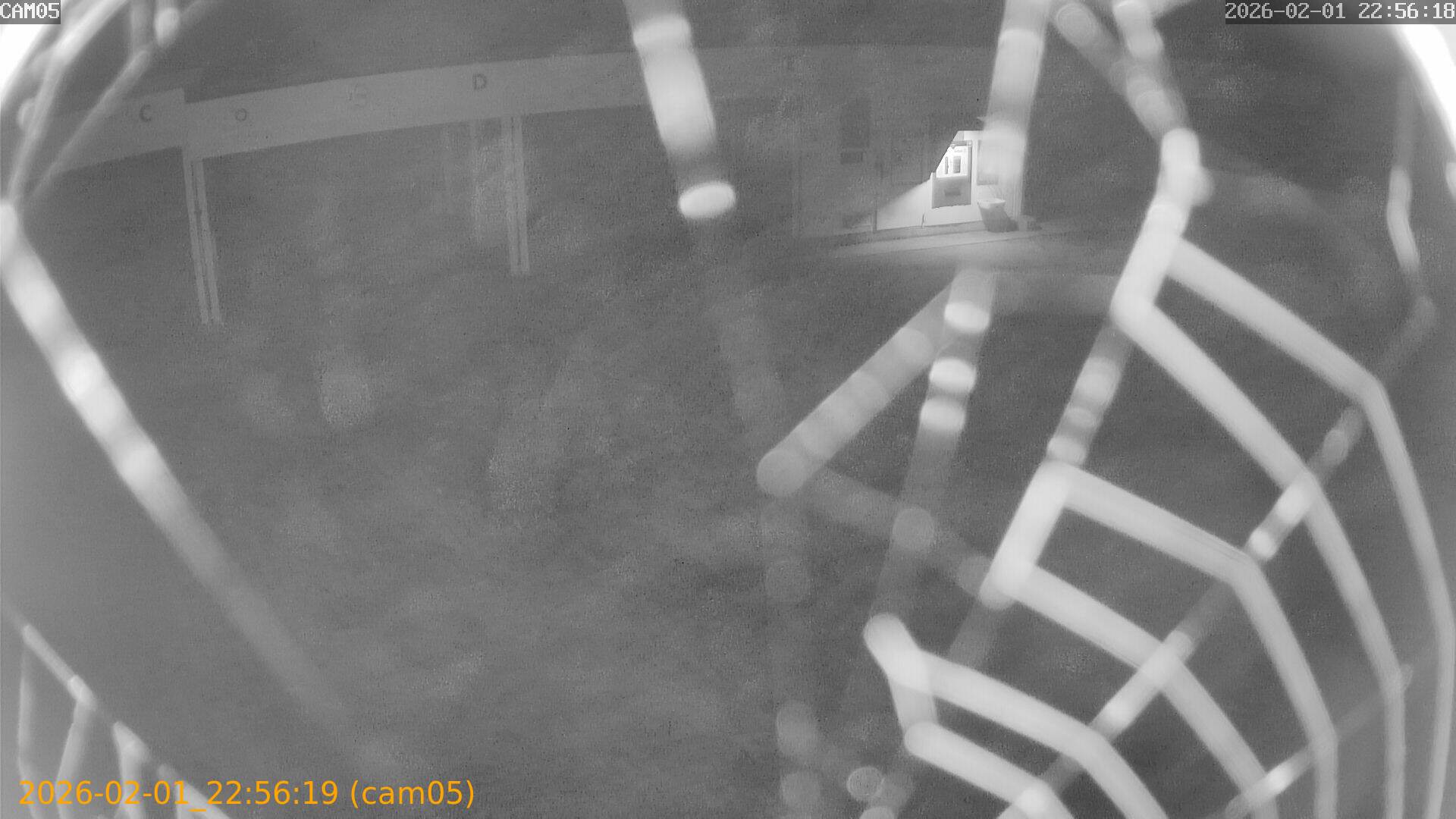 thumbnail_20260201225619