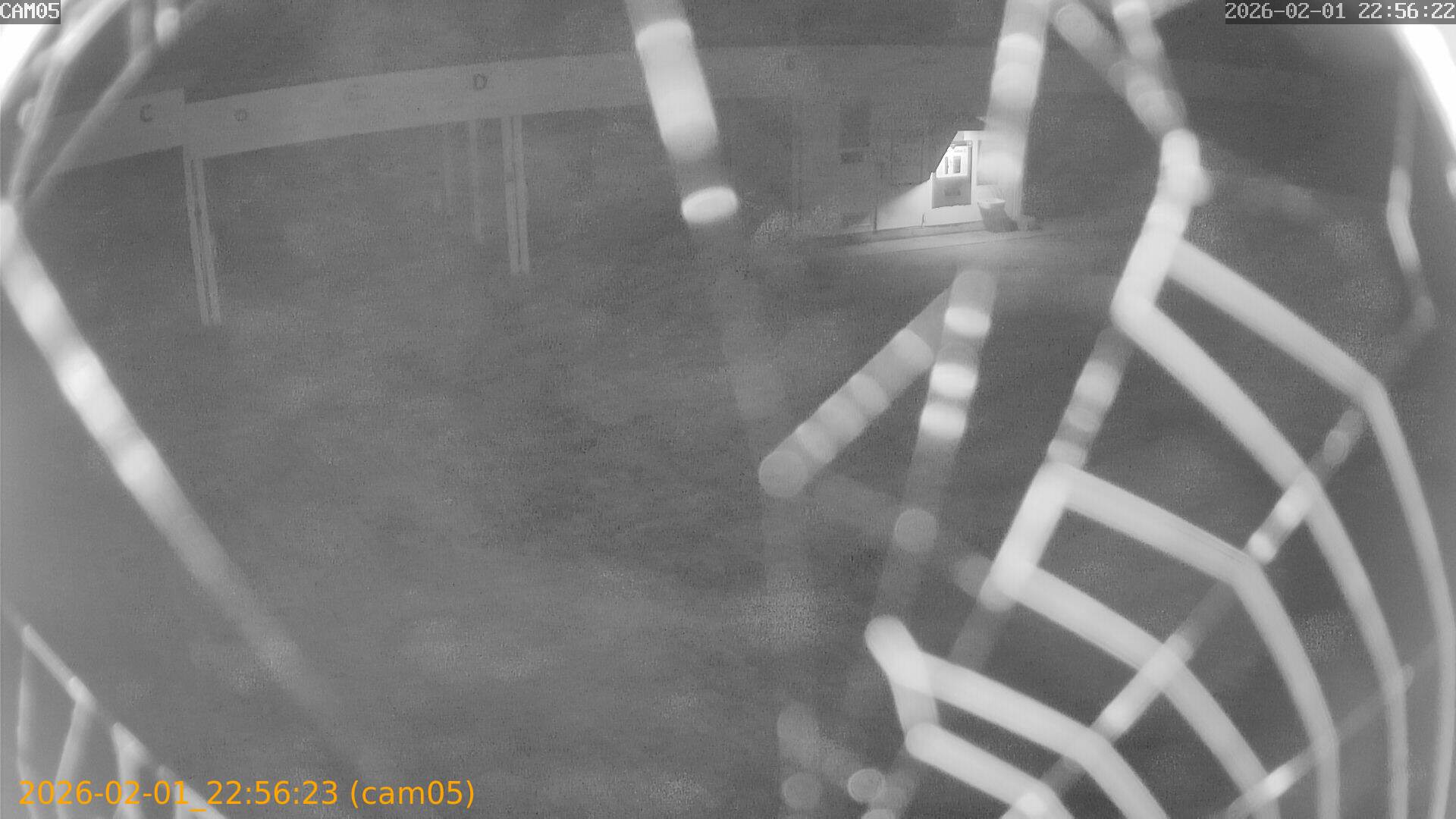 thumbnail_20260201225623