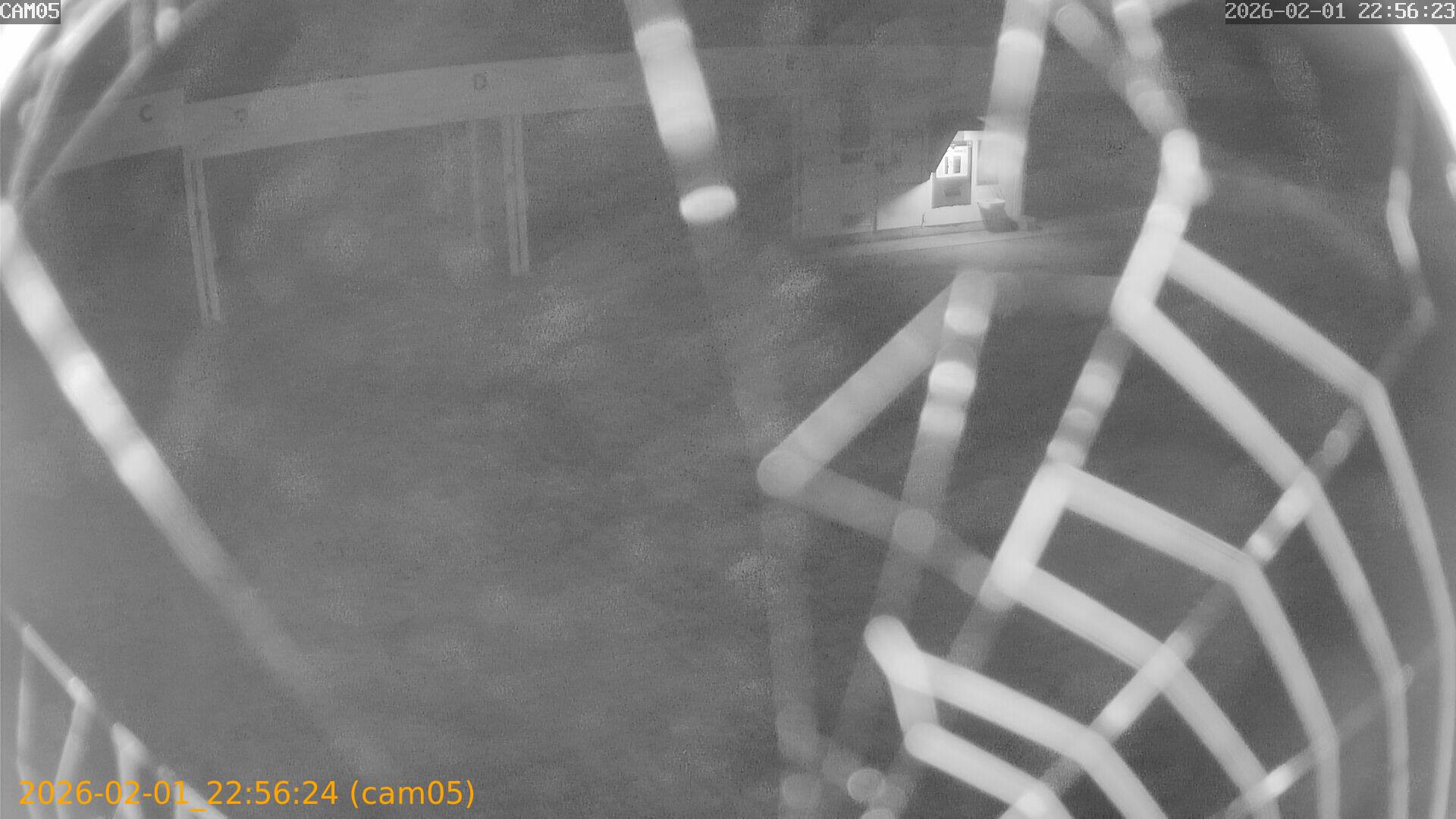 thumbnail_20260201225624