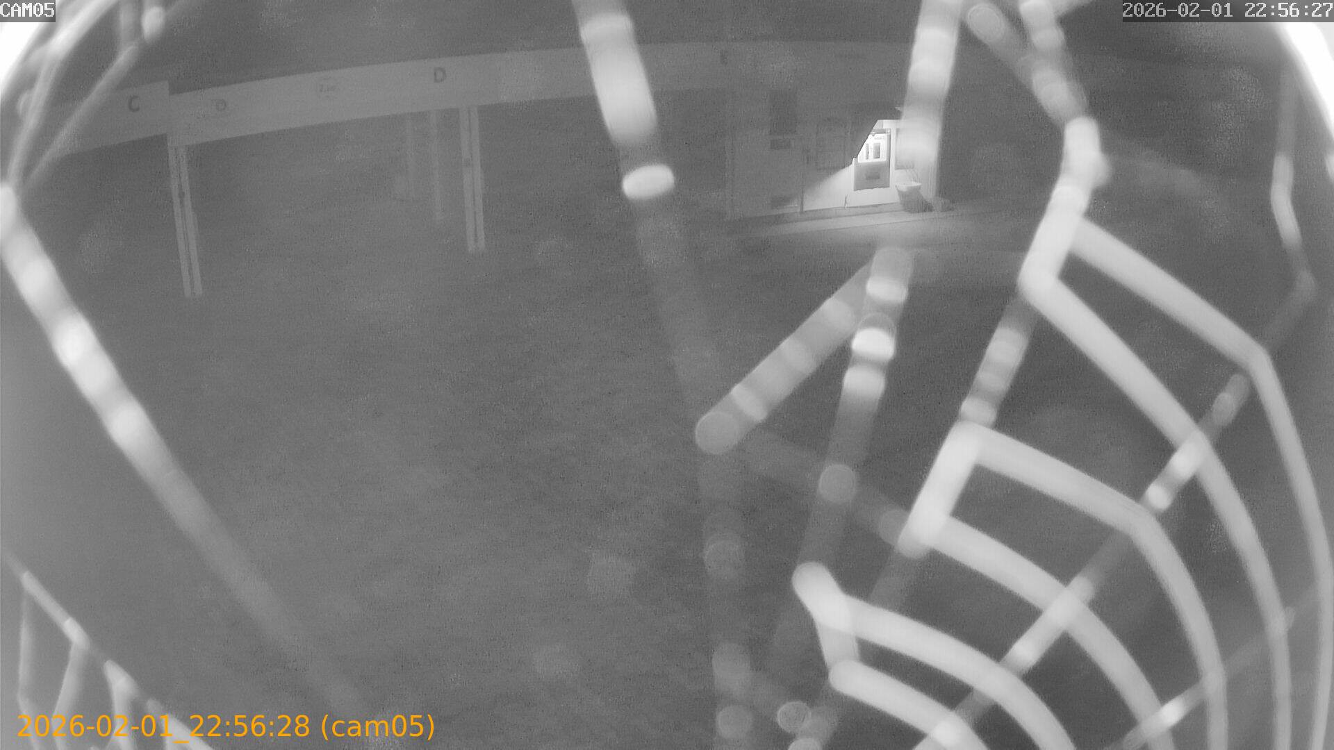 thumbnail_20260201225628