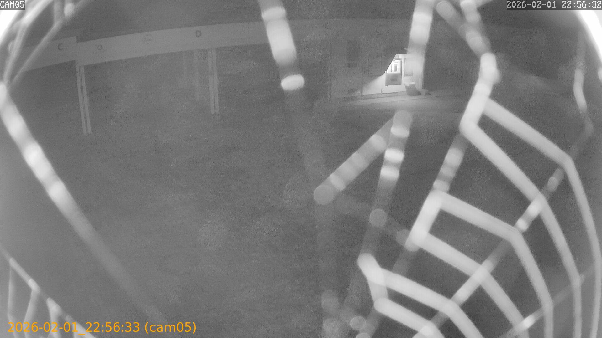 thumbnail_20260201225633