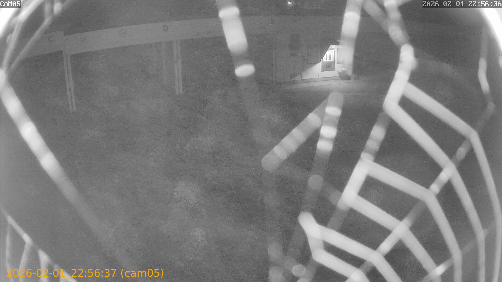 thumbnail_20260201225637