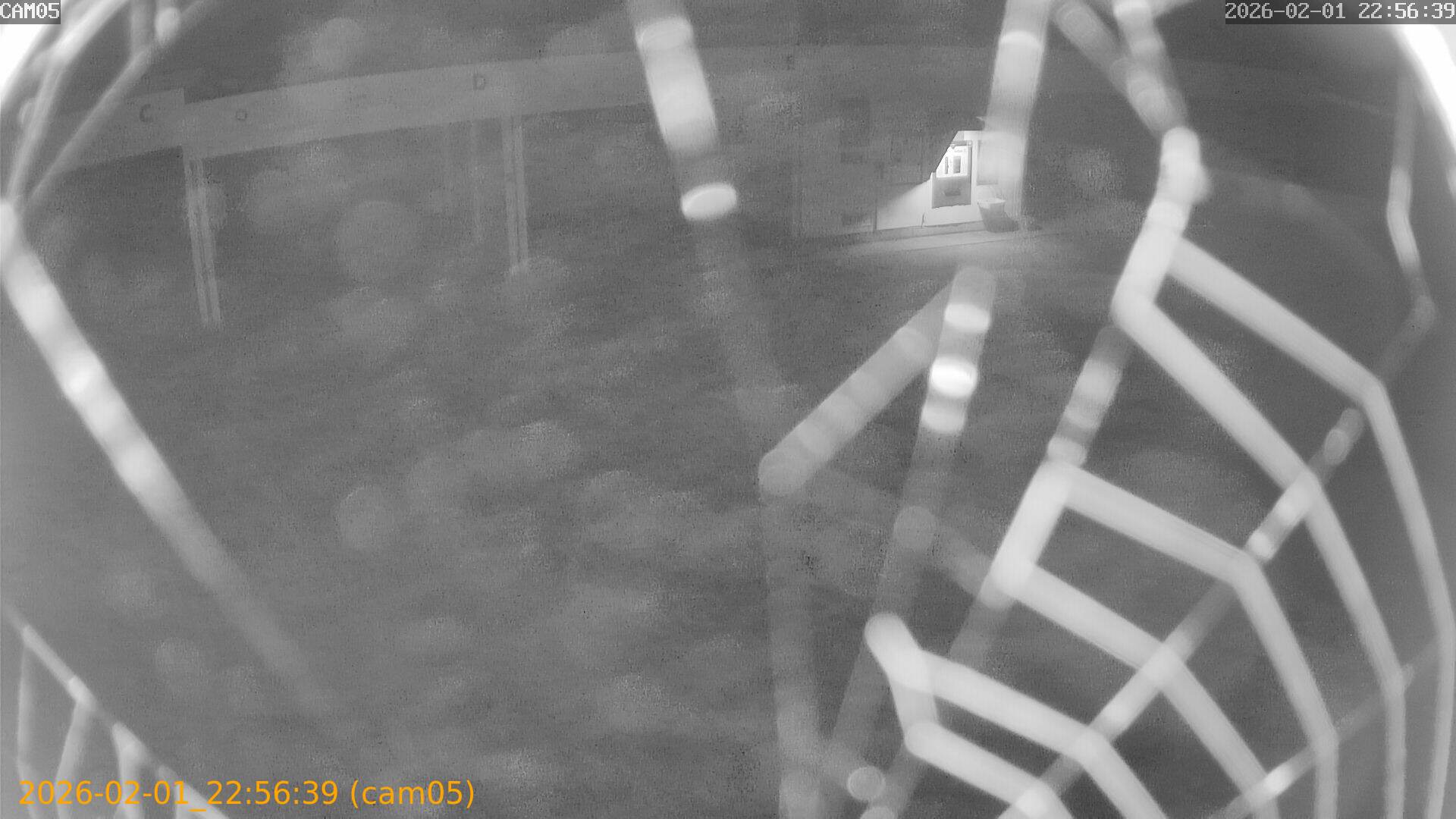 thumbnail_20260201225639