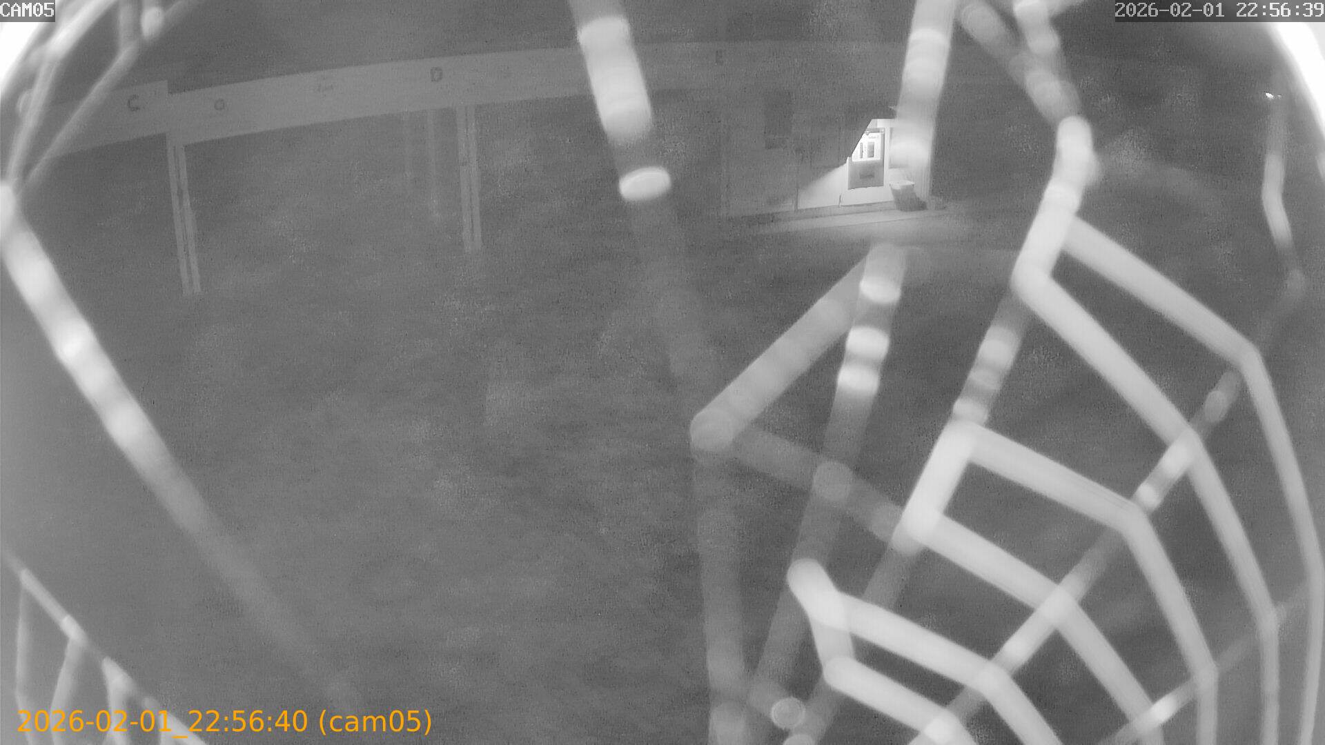 thumbnail_20260201225640