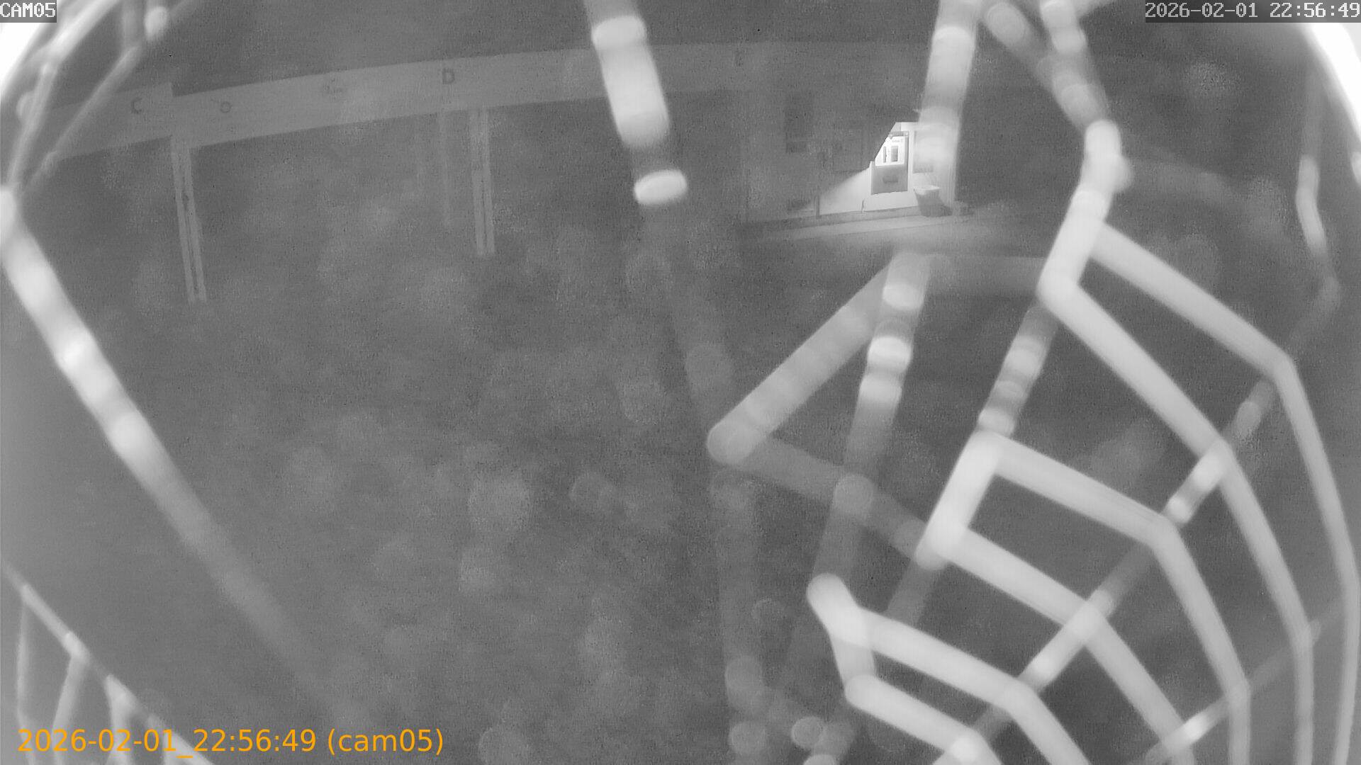 thumbnail_20260201225649