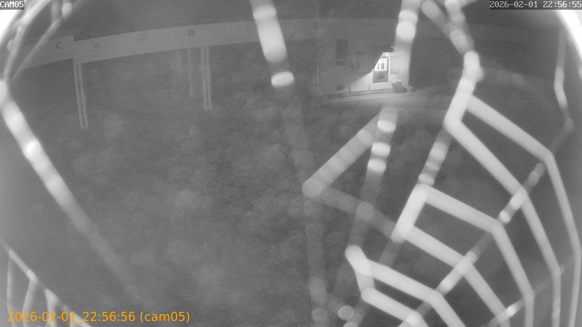 thumbnail_20260201225656