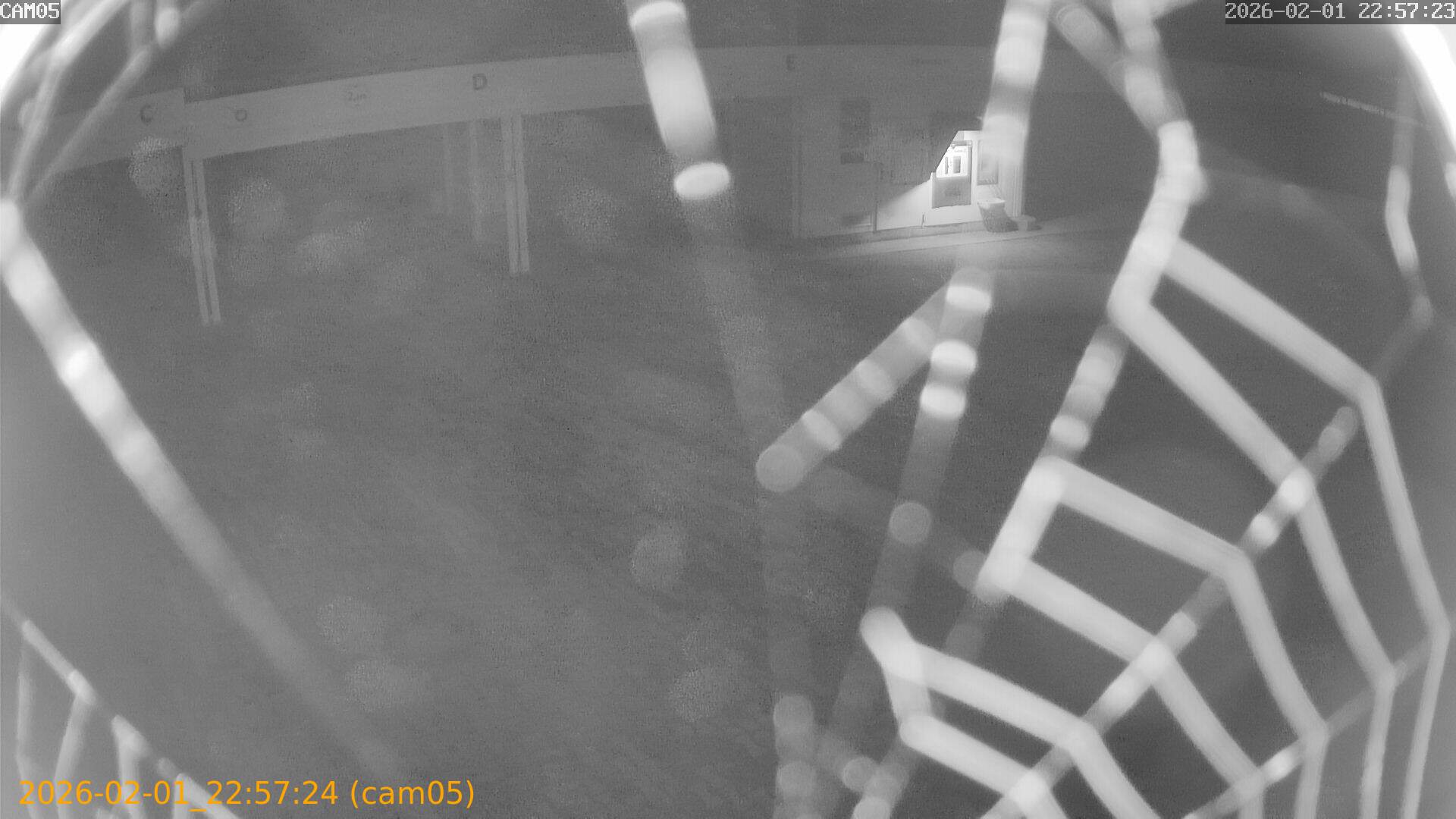 thumbnail_20260201225724