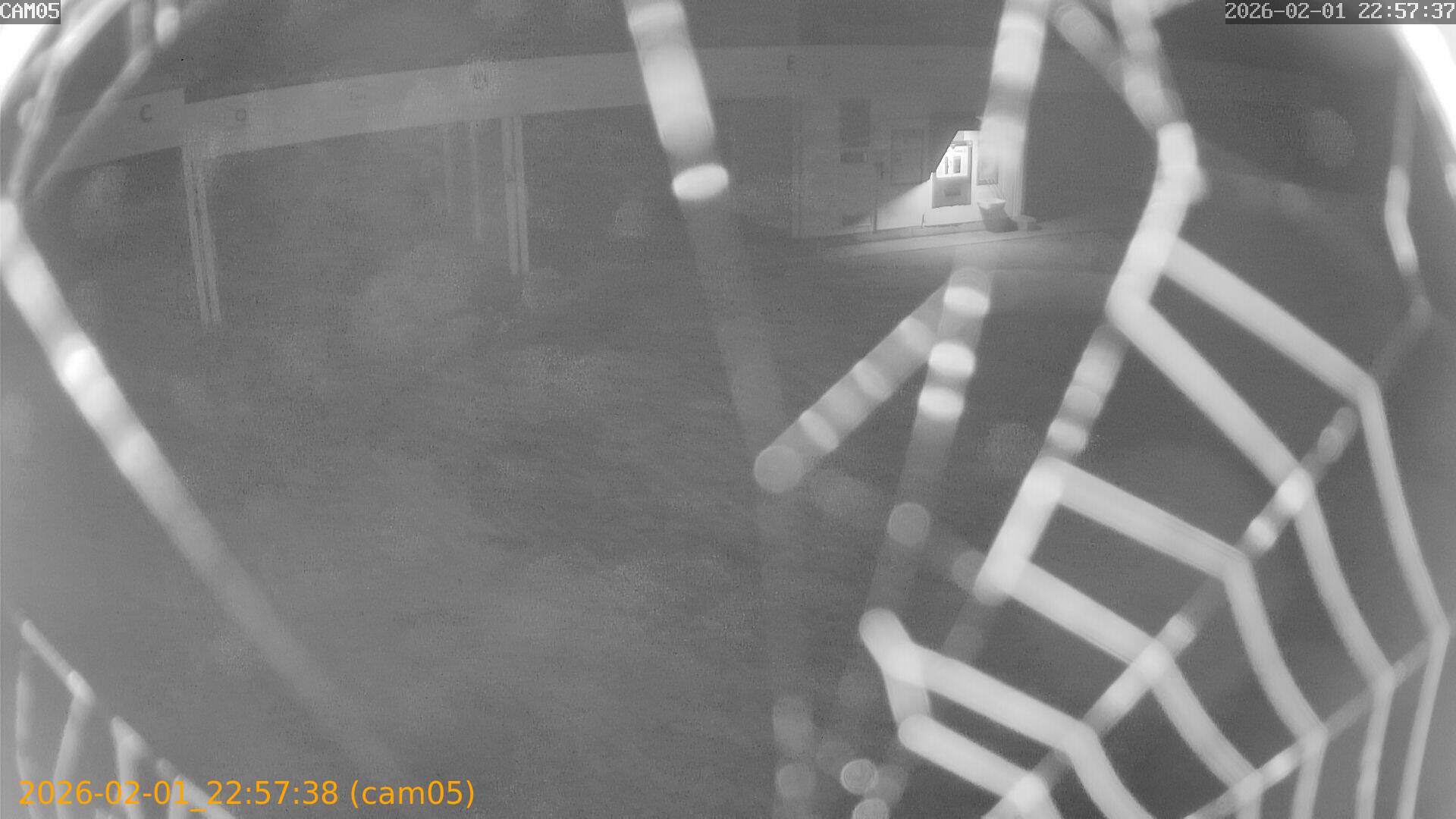 thumbnail_20260201225738