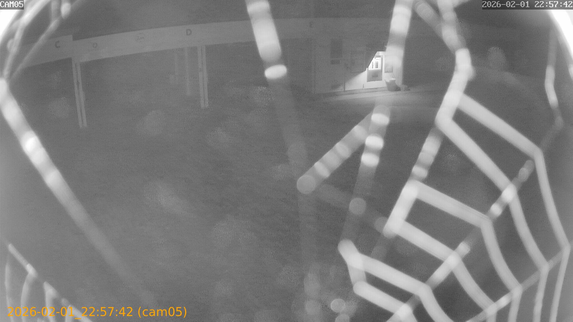 thumbnail_20260201225742