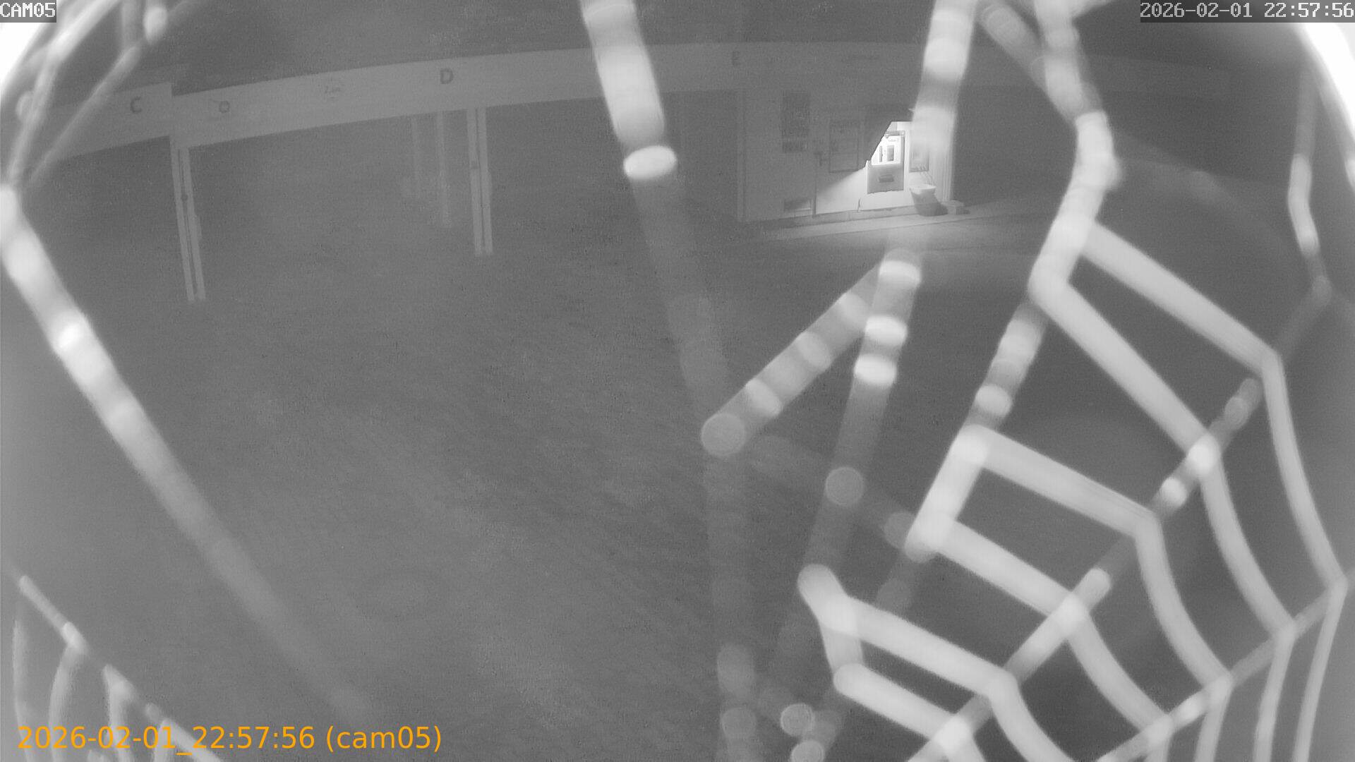 thumbnail_20260201225756