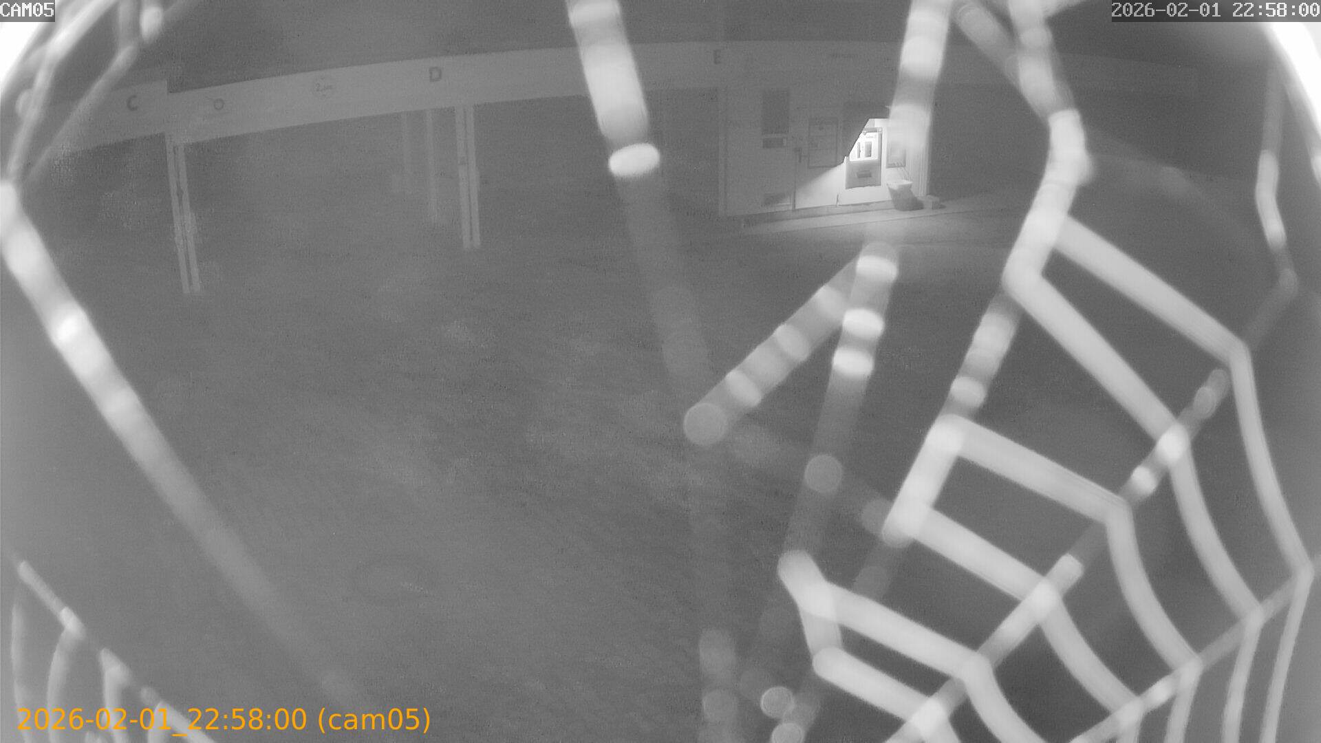 thumbnail_20260201225800