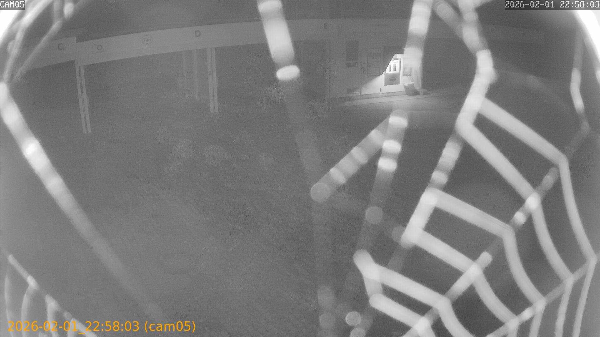 thumbnail_20260201225803