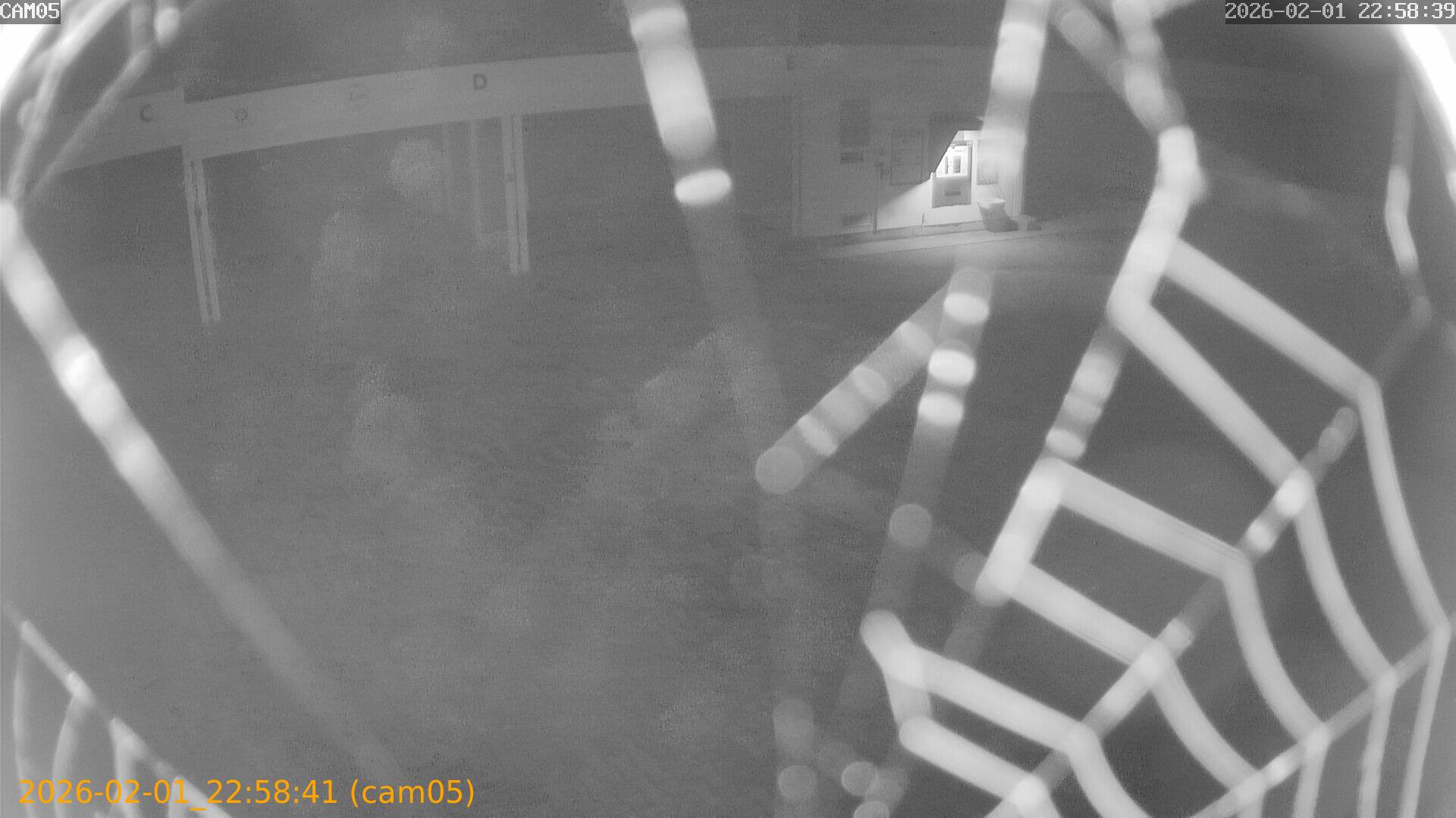 thumbnail_20260201225841