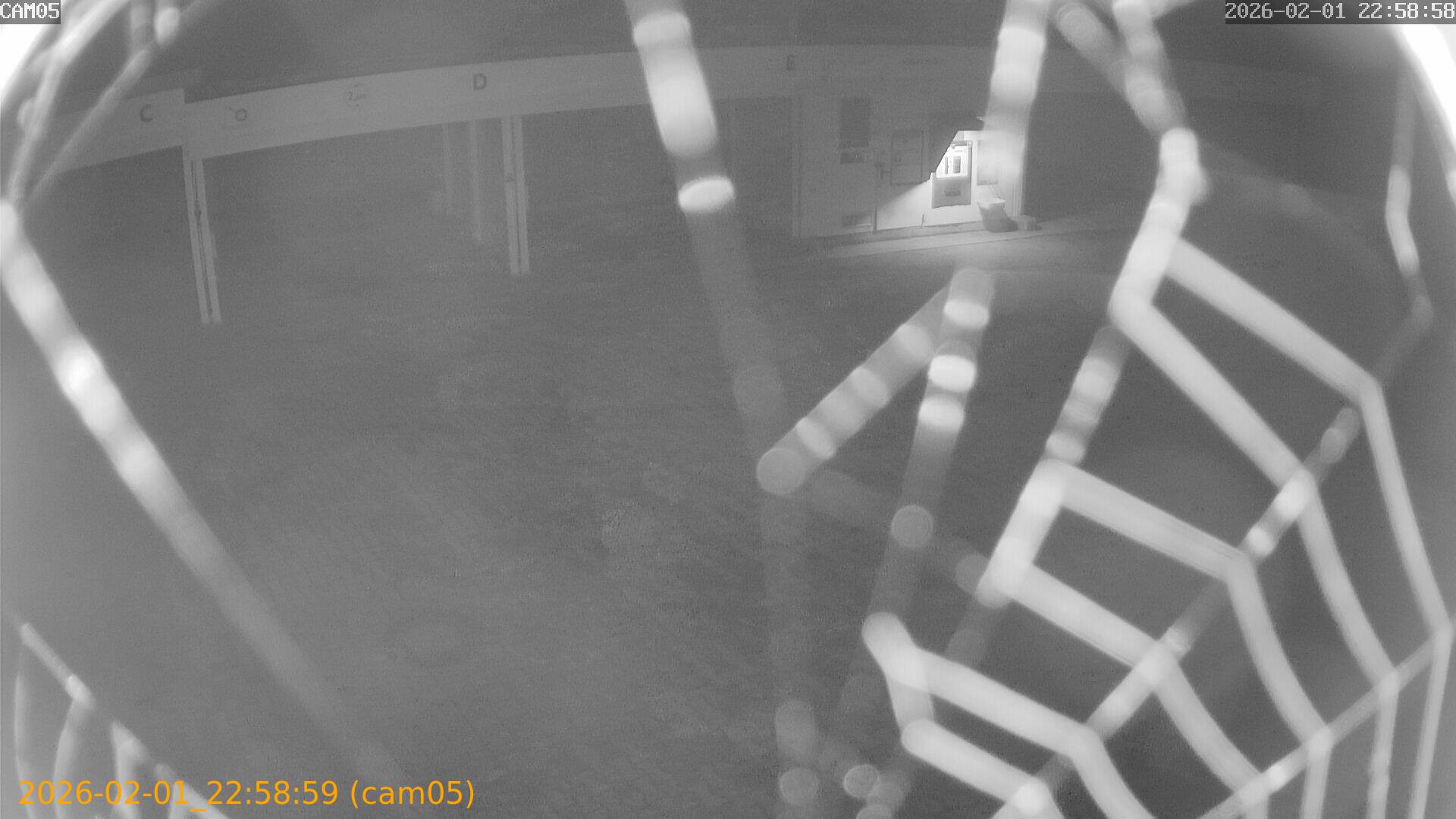 thumbnail_20260201225859