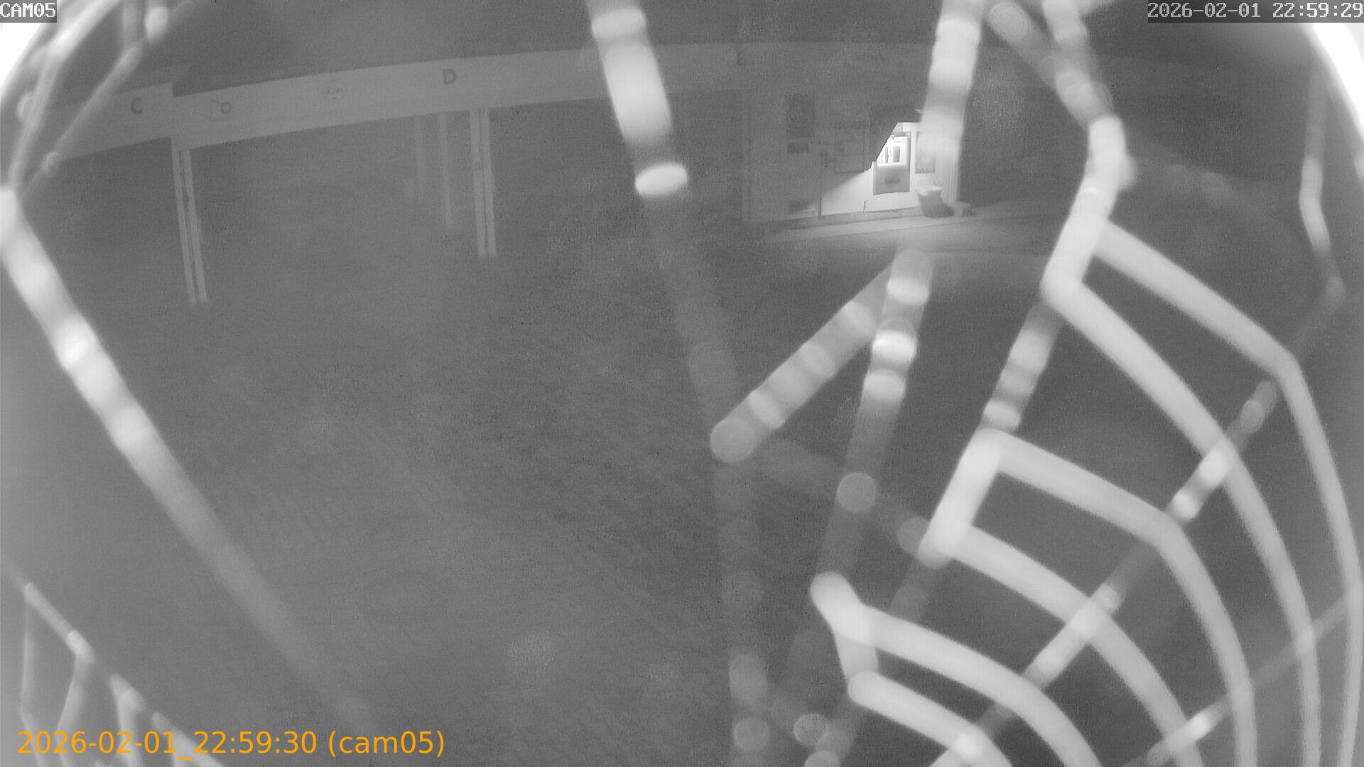 thumbnail_20260201225930