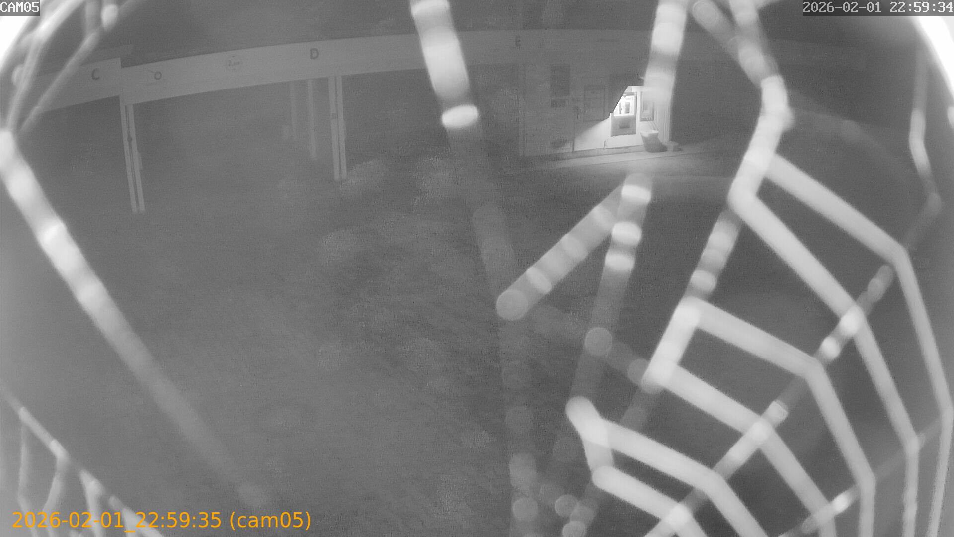 thumbnail_20260201225935