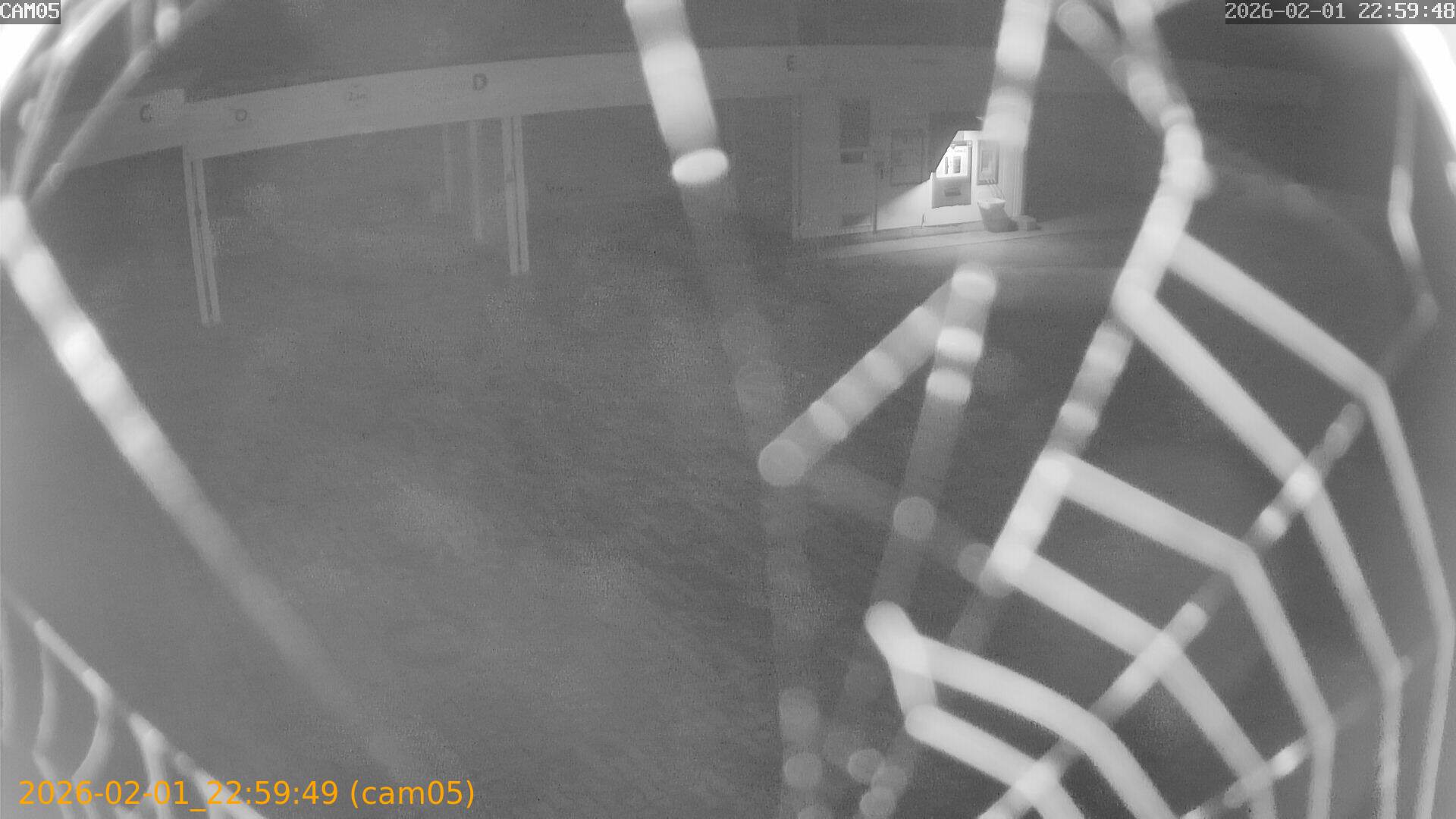 thumbnail_20260201225949