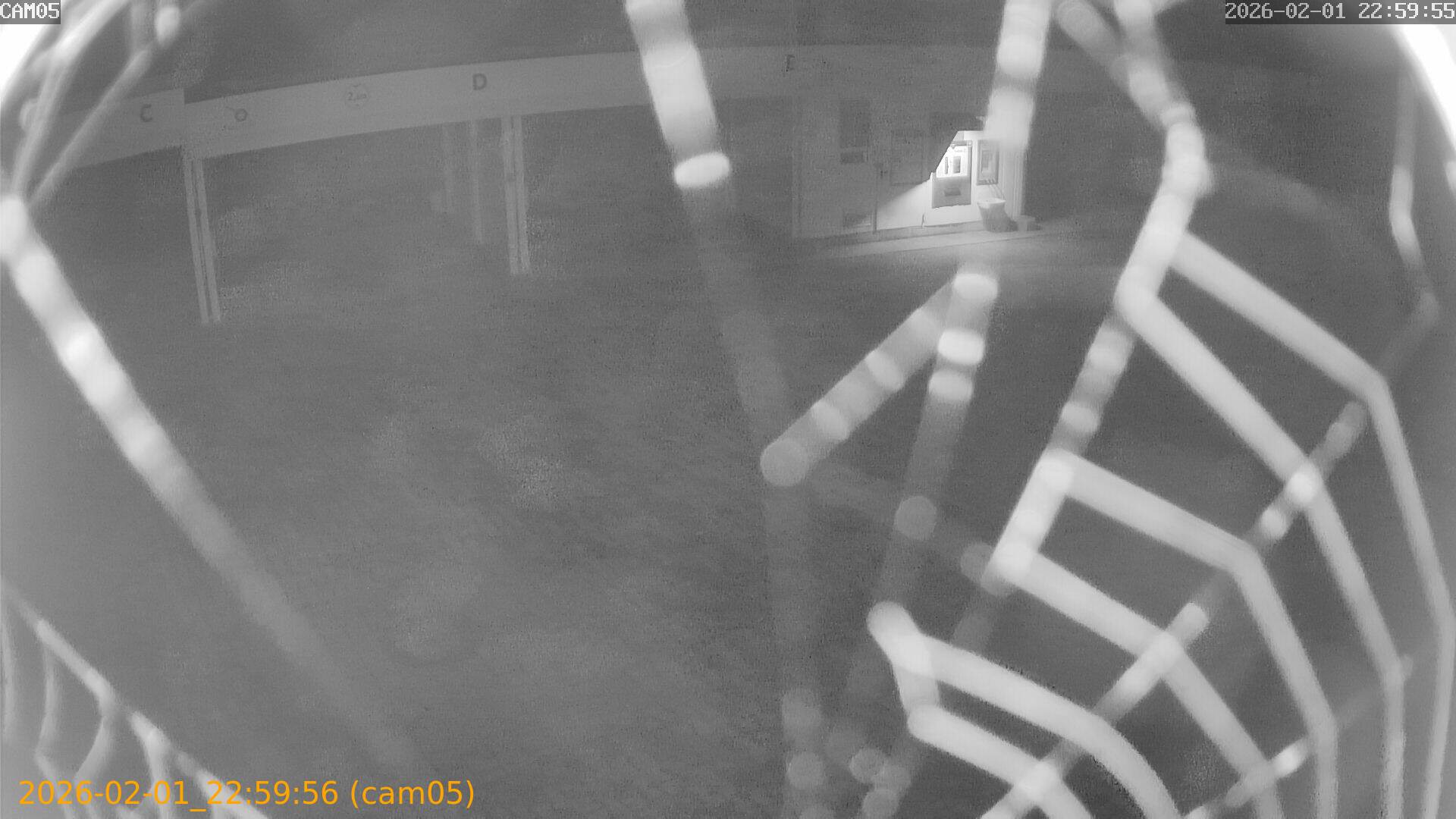 thumbnail_20260201225956