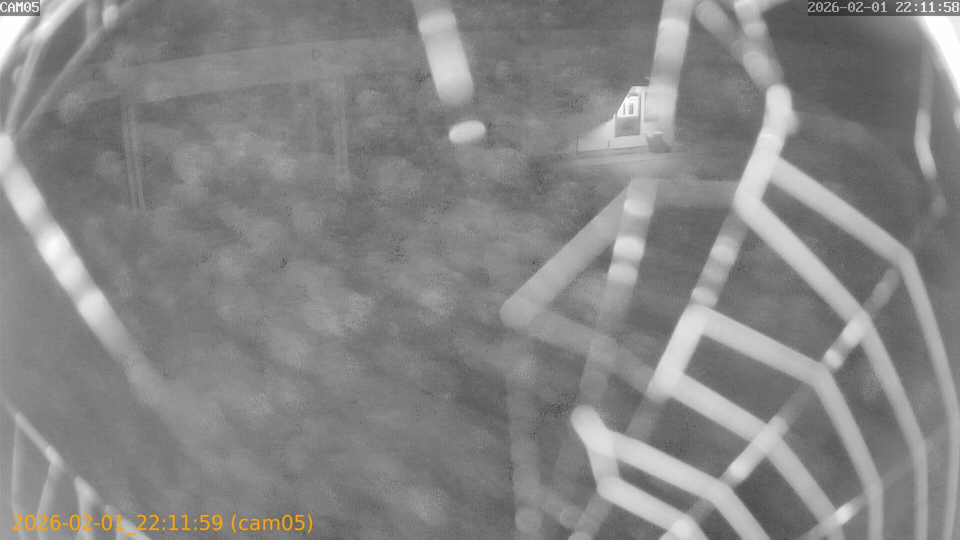 thumbnail_202602012211