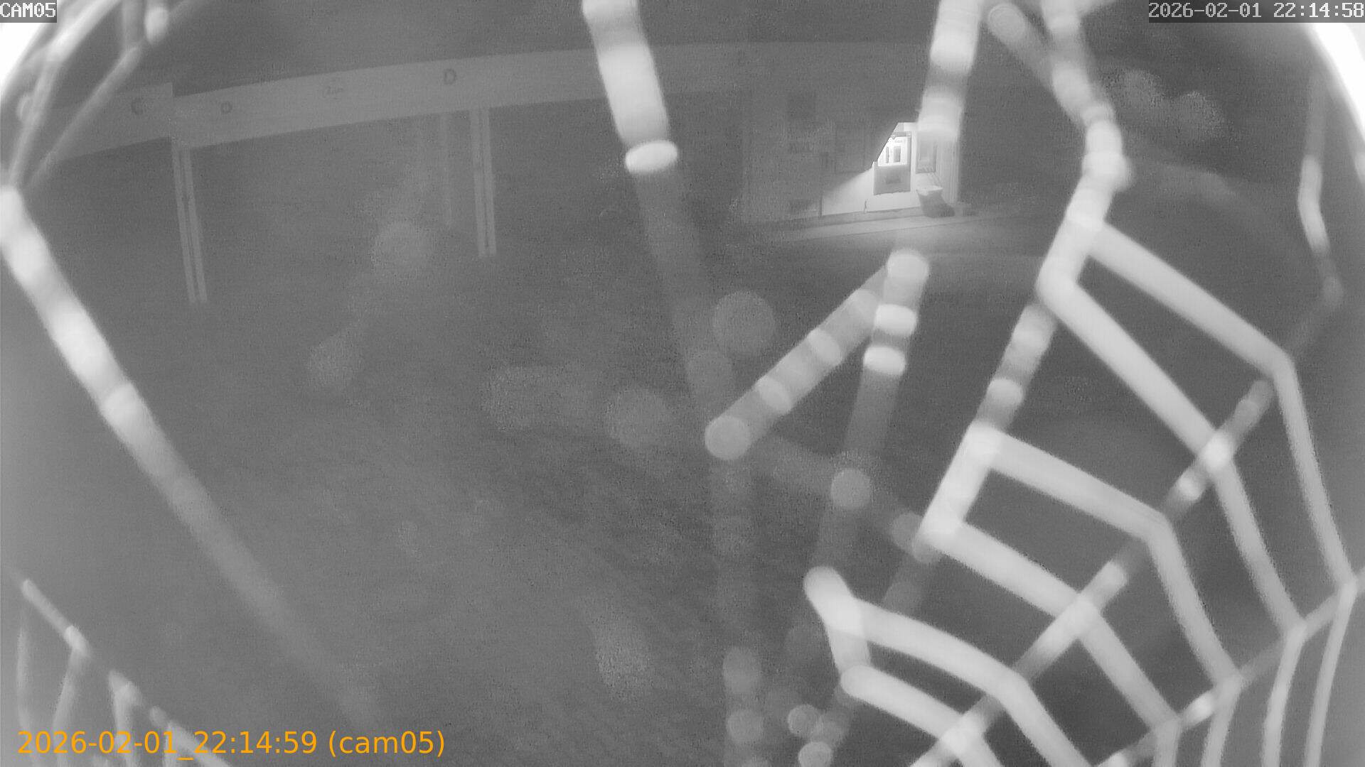 thumbnail_202602012214