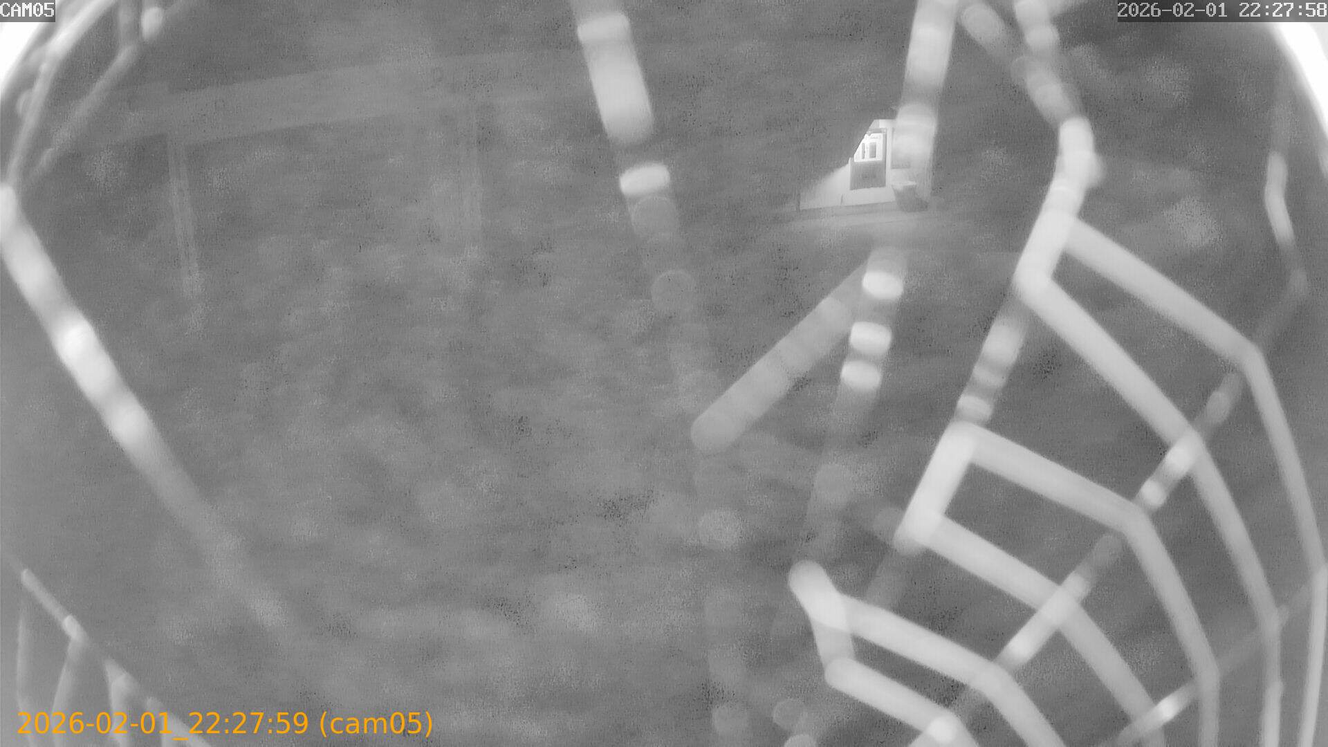 thumbnail_202602012227