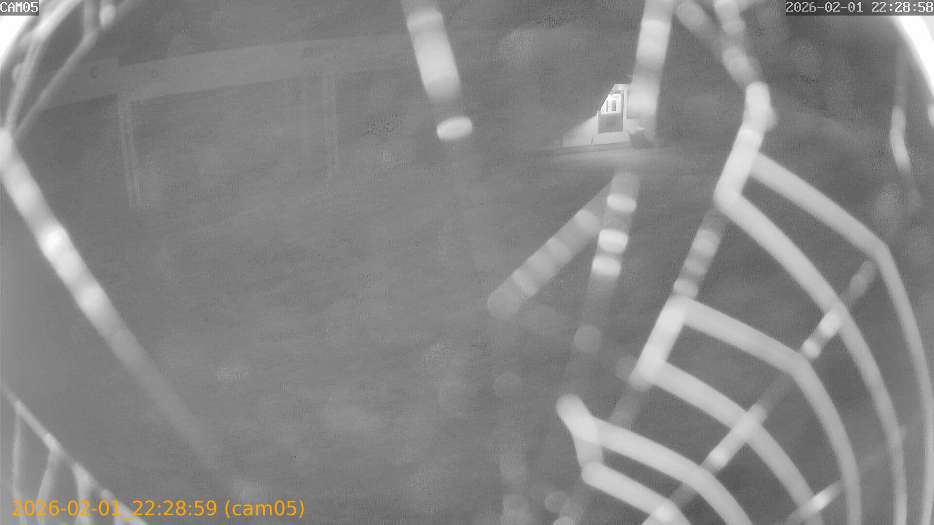 thumbnail_202602012228