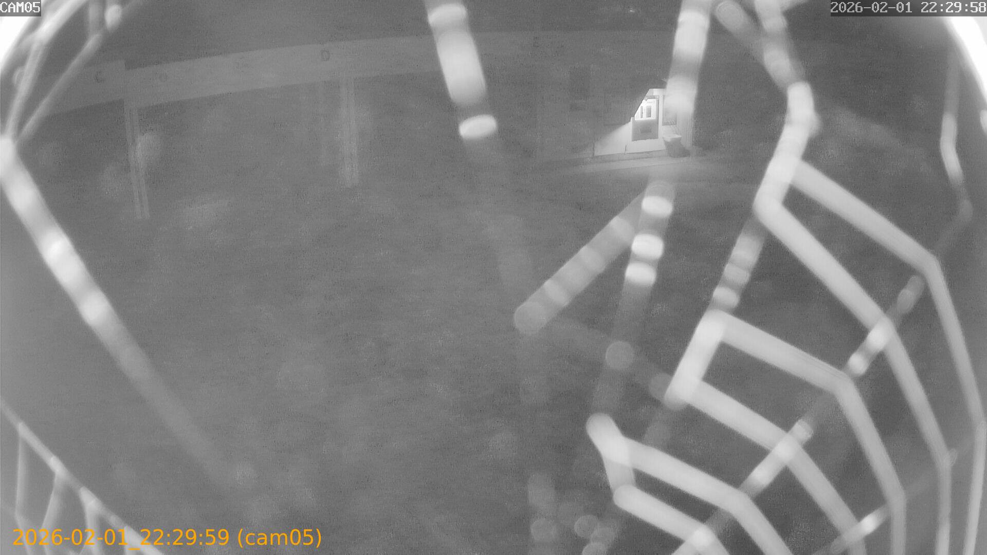 thumbnail_202602012229