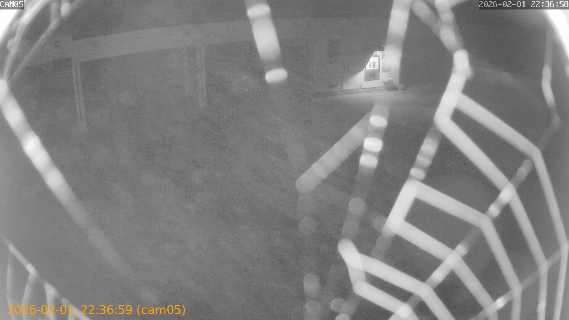 thumbnail_202602012236