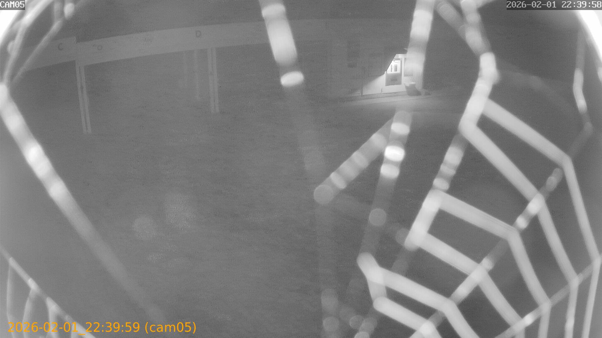 thumbnail_202602012239