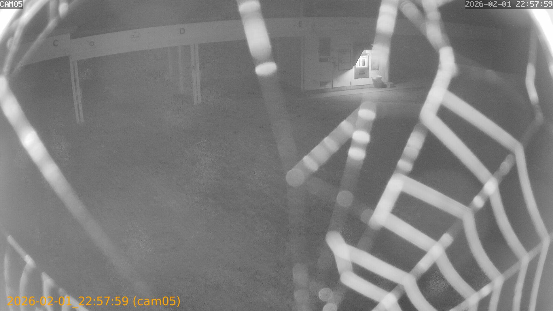 thumbnail_202602012257